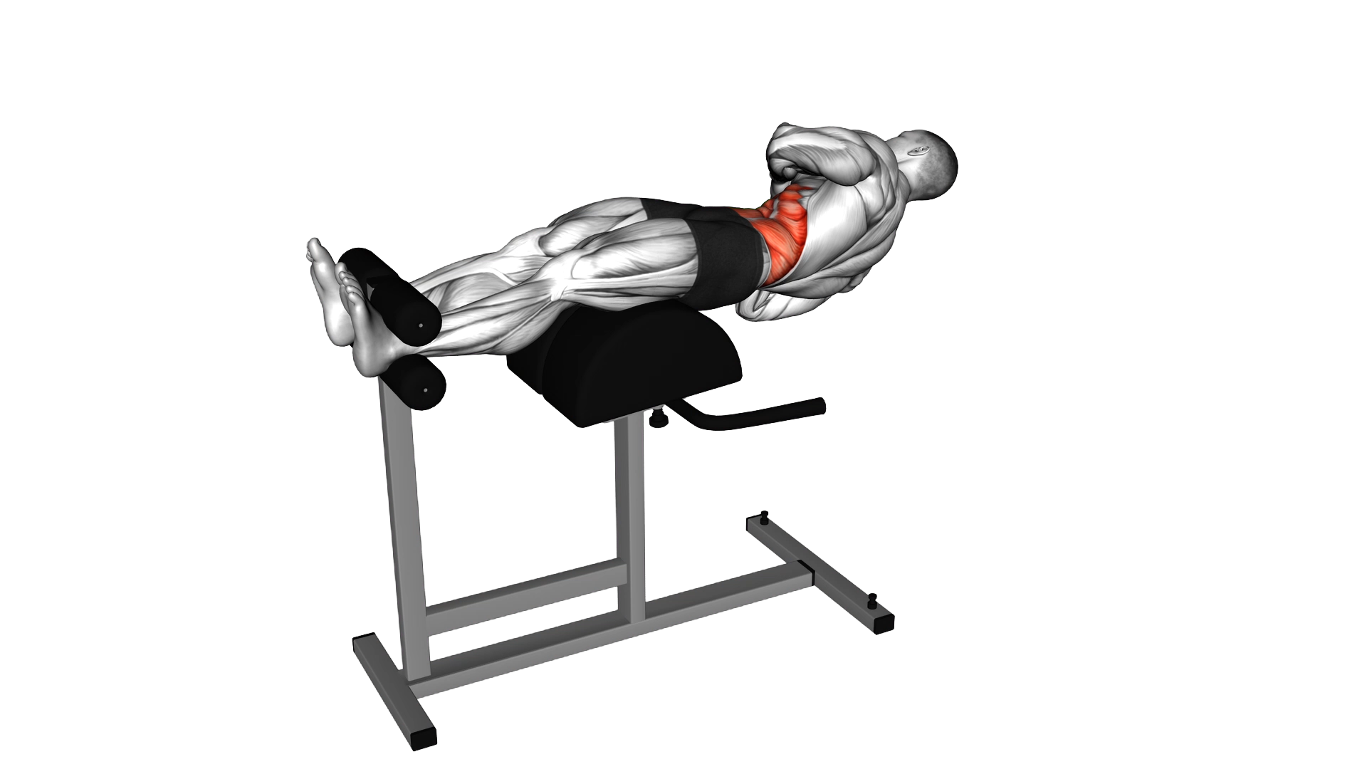 Glute Ham Twist exercise demonstration
