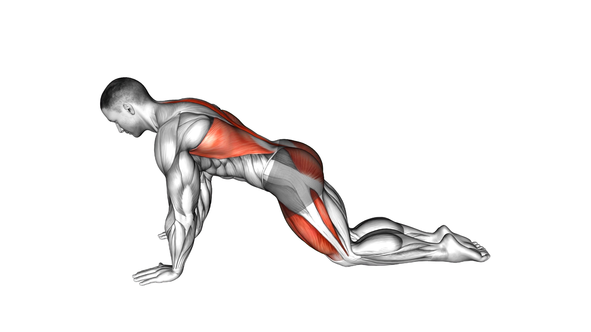 Child Pose exercise demonstration