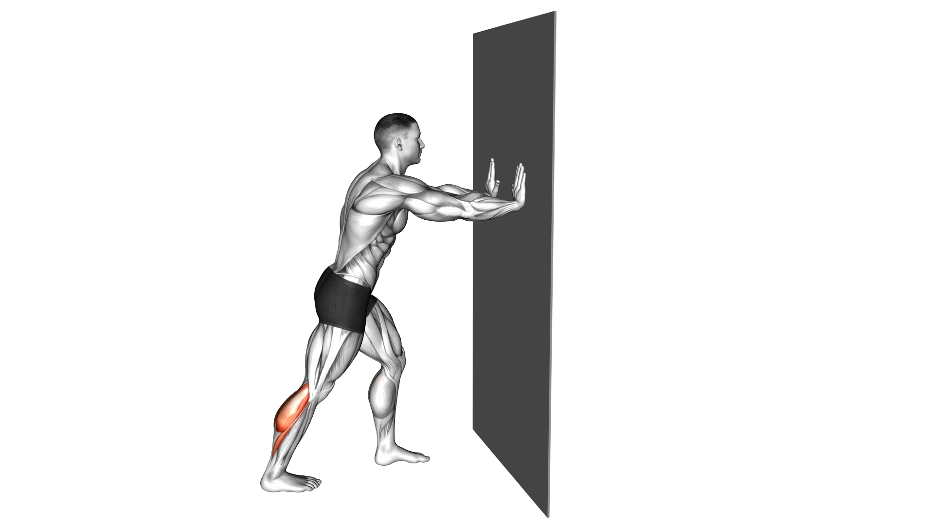 Heel Press exercise demonstration