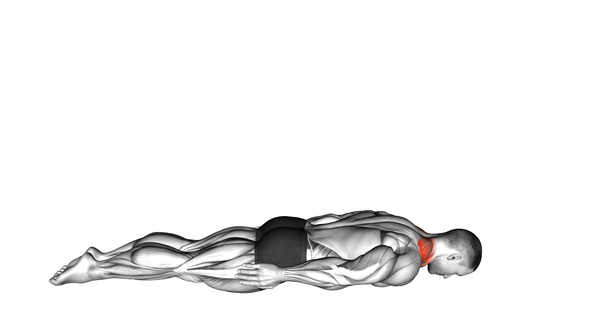 Prone Cervical Extension exercise demonstration