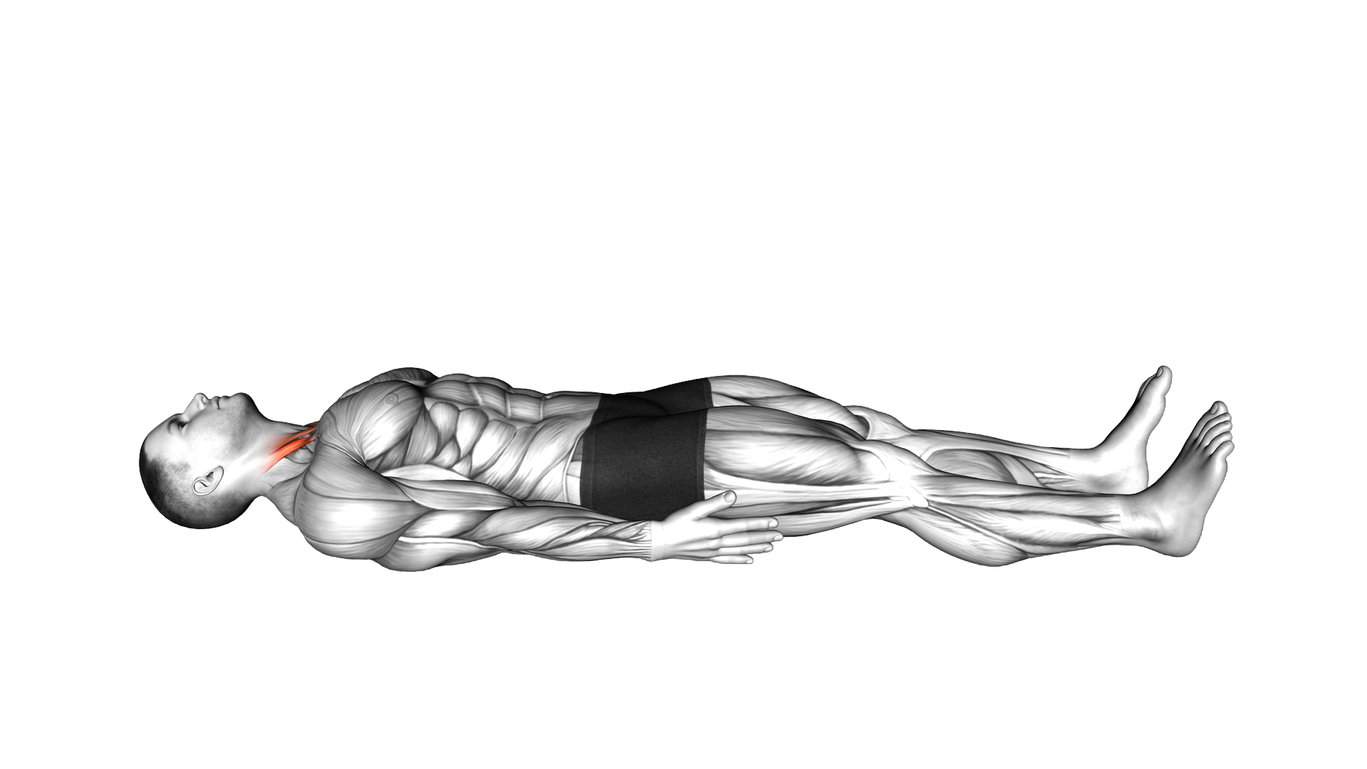 Lying Chin Tucks exercise demonstration