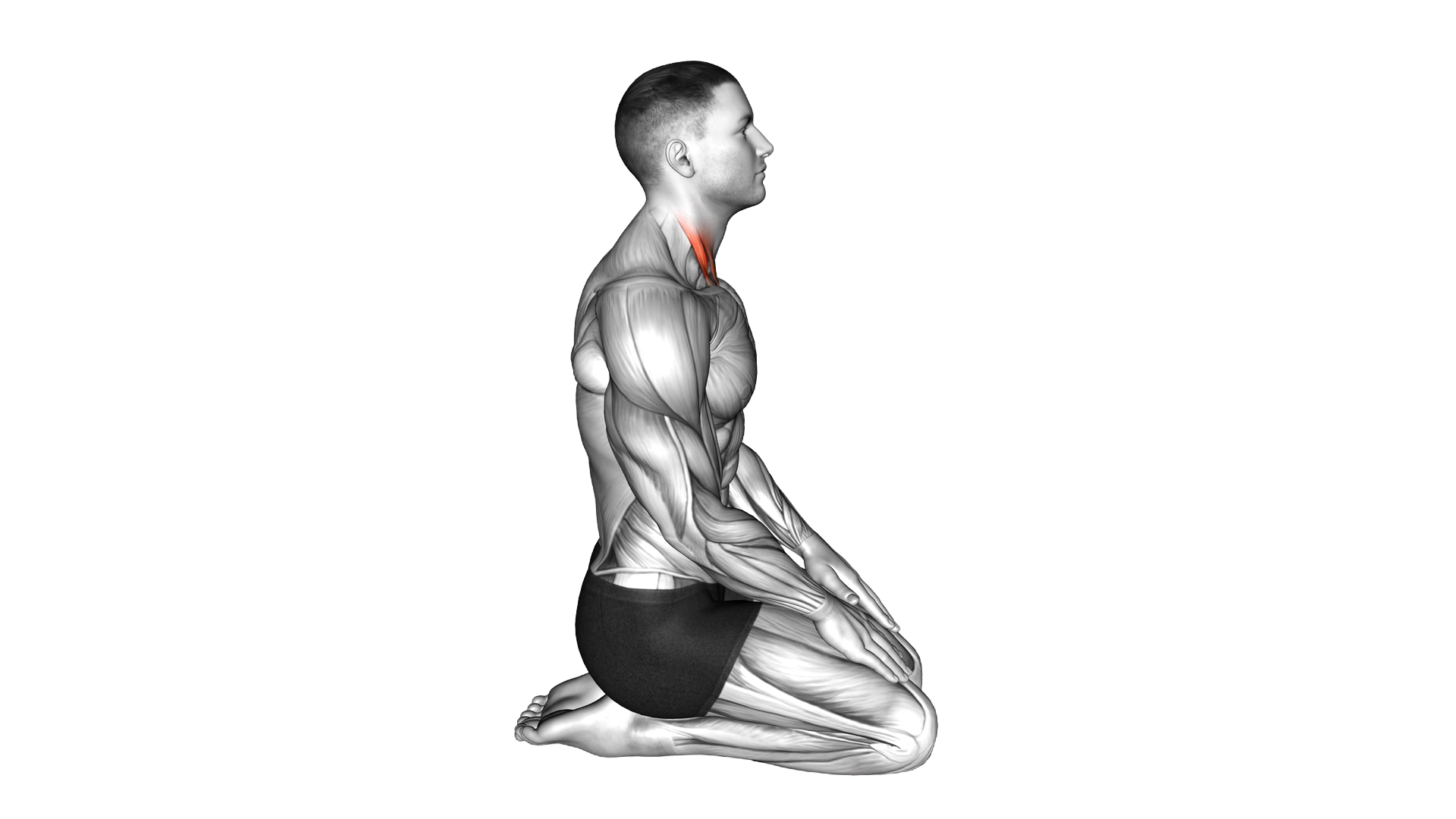 Seated Chin Tuck exercise demonstration