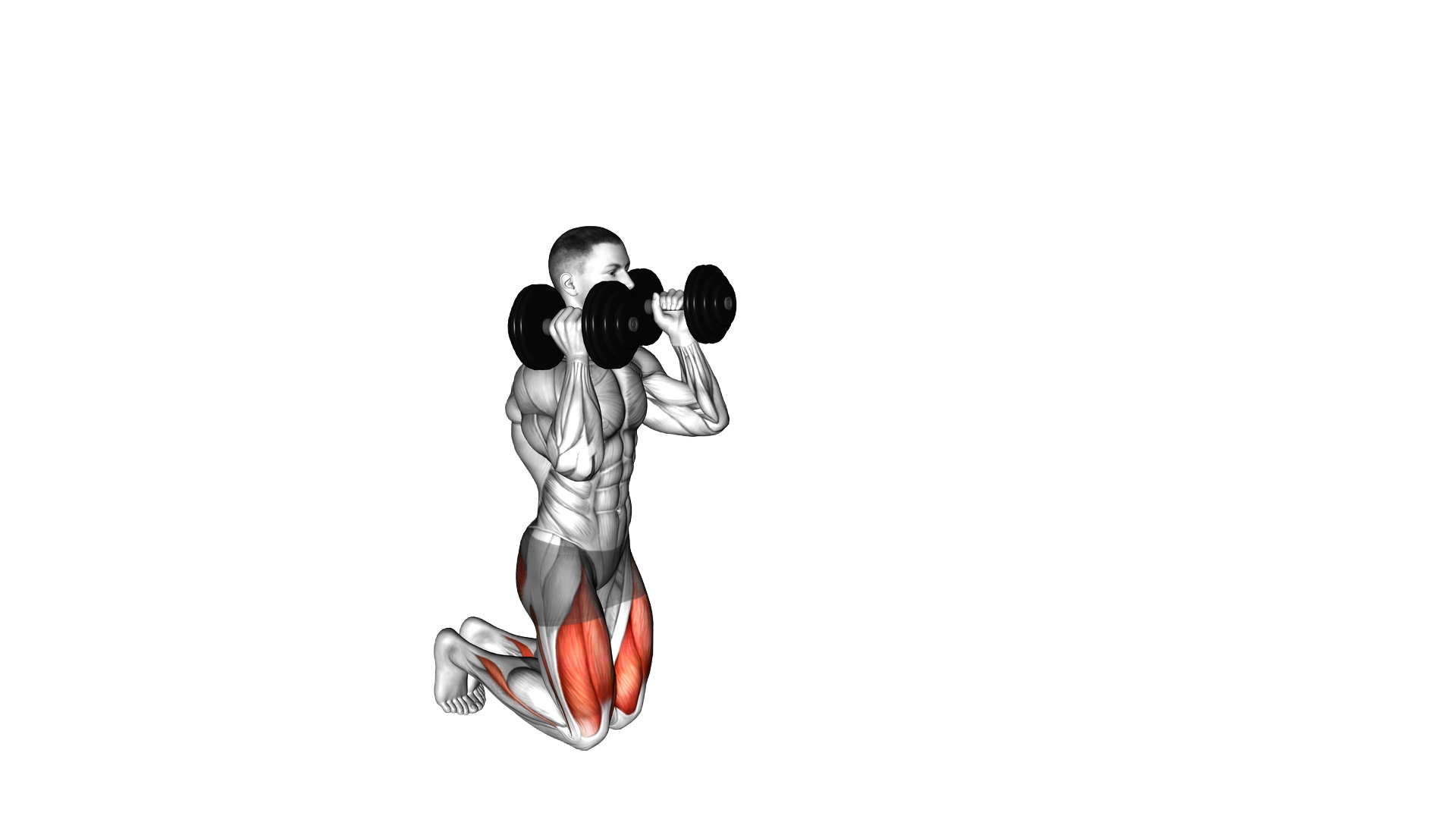 Dumbbell Kneeling Hold to Stand Clean grip exercise thumbnail
