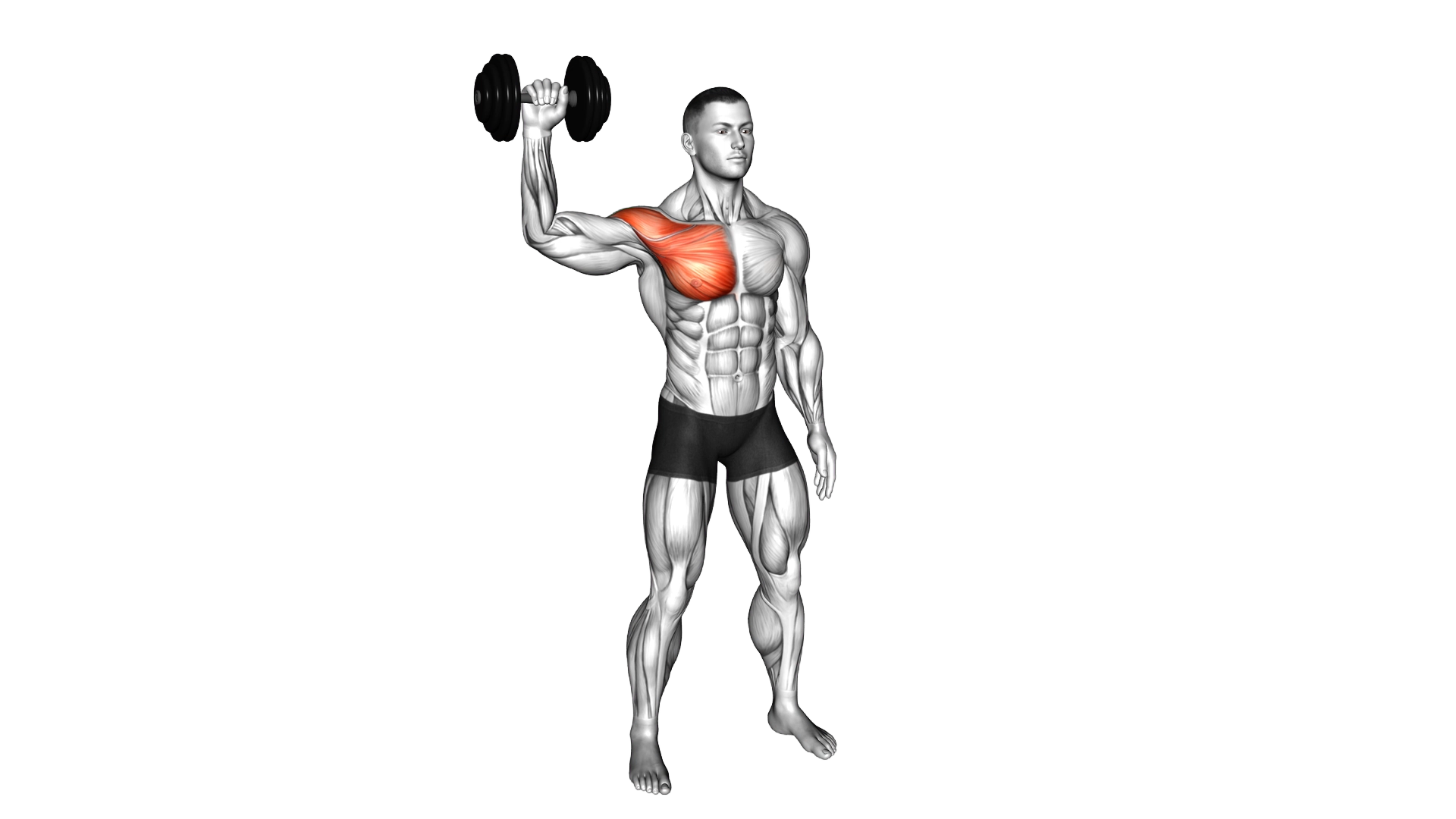 Dumbbell Shoulder Internal Rotation at 90 Abductio exercise demonstration