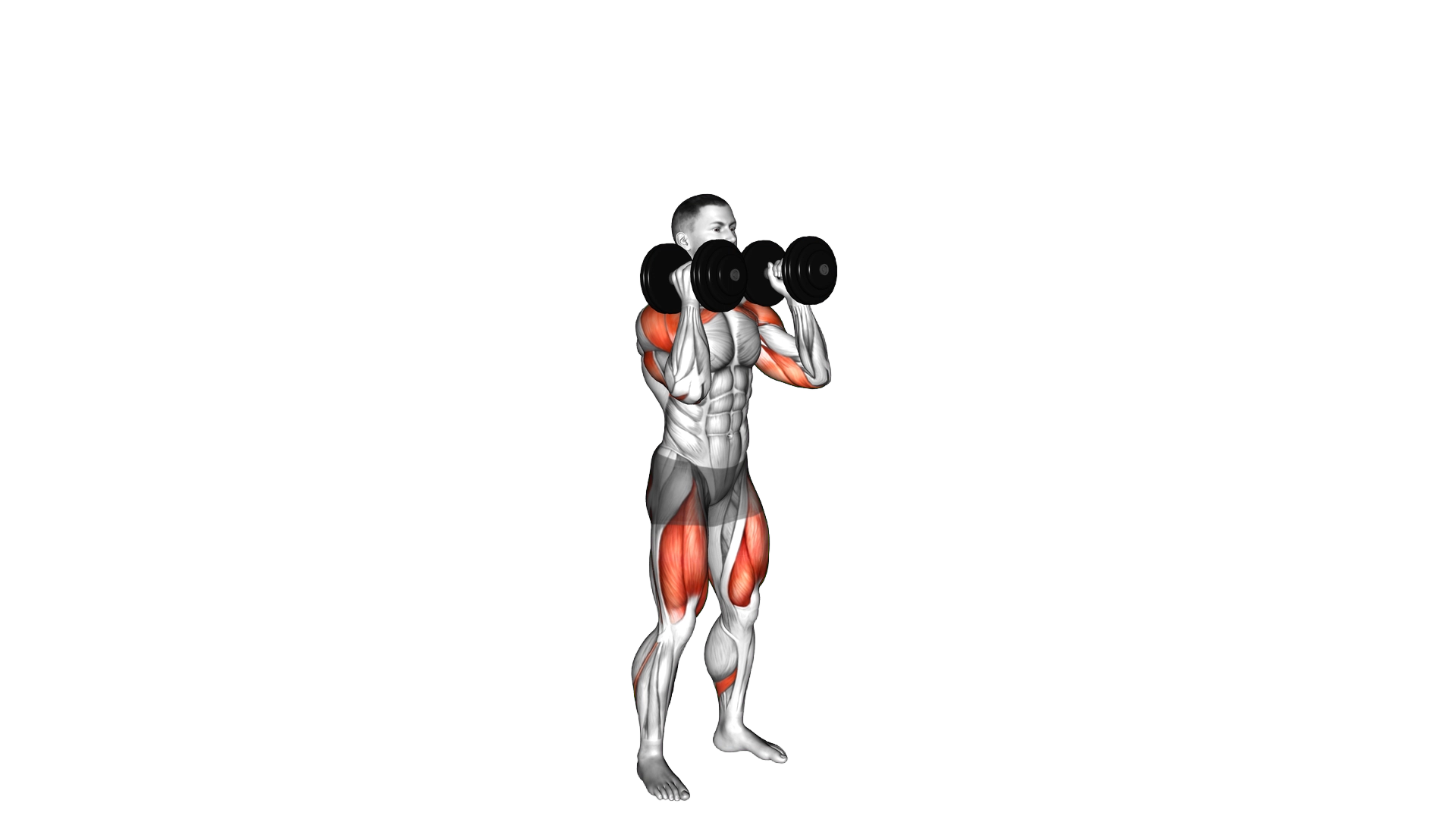 Dumbbell Squat to Overhead Press exercise demonstration