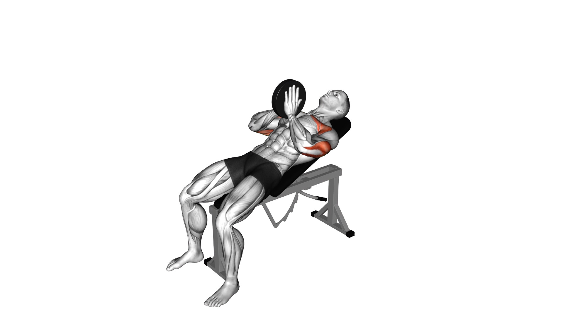Incline Svend Press exercise demonstration