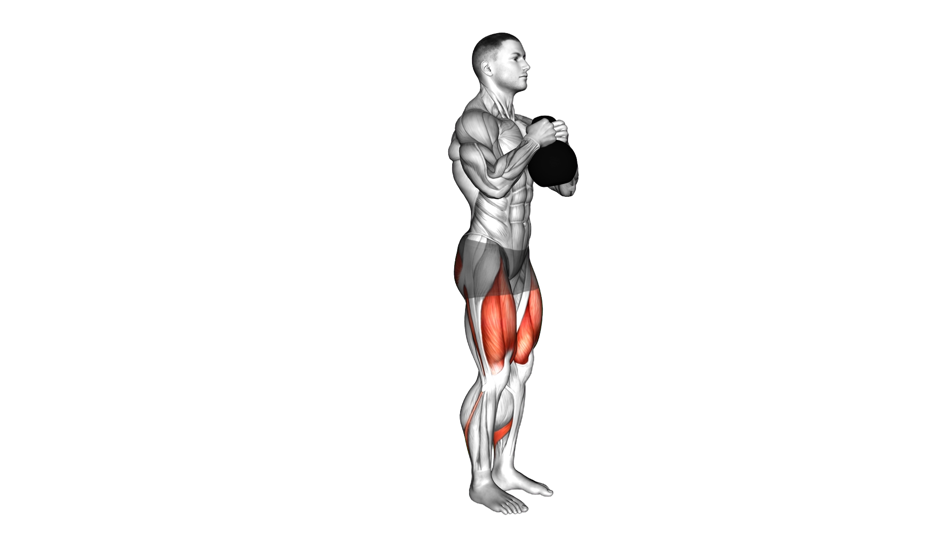 Kettlebell Rear Lunge exercise demonstration