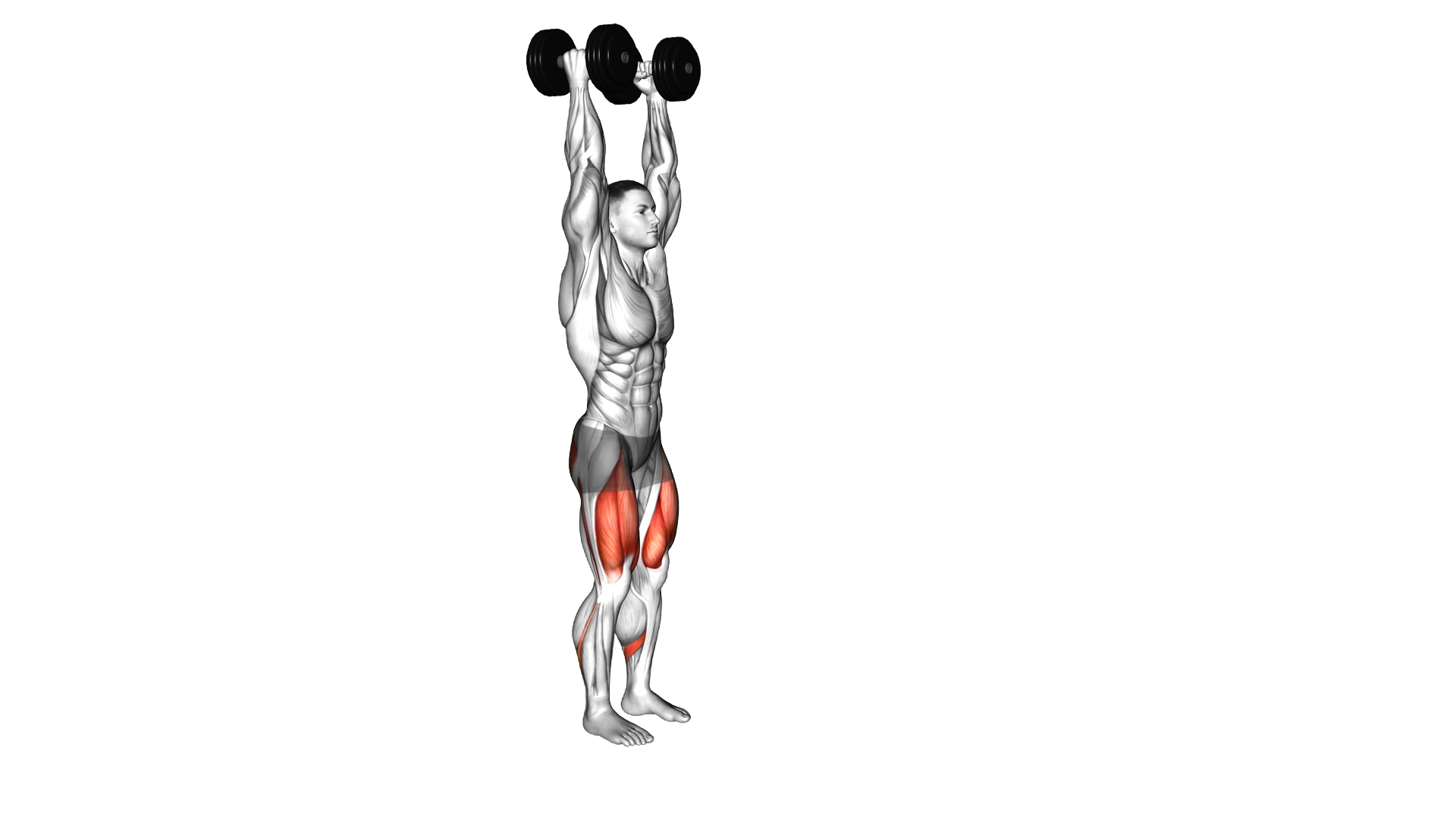 Dumbbell Overhead Lunge exercise demonstration