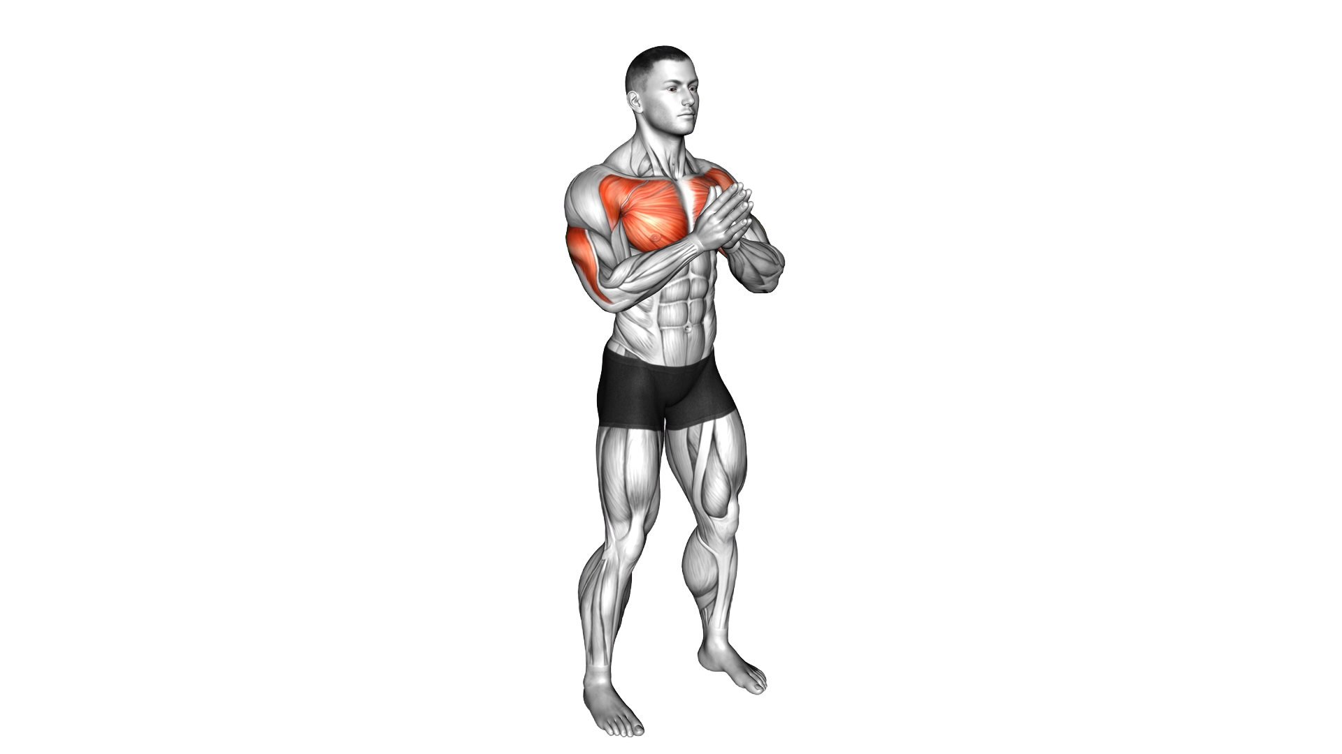 Bodyweight Svend Press exercise demonstration