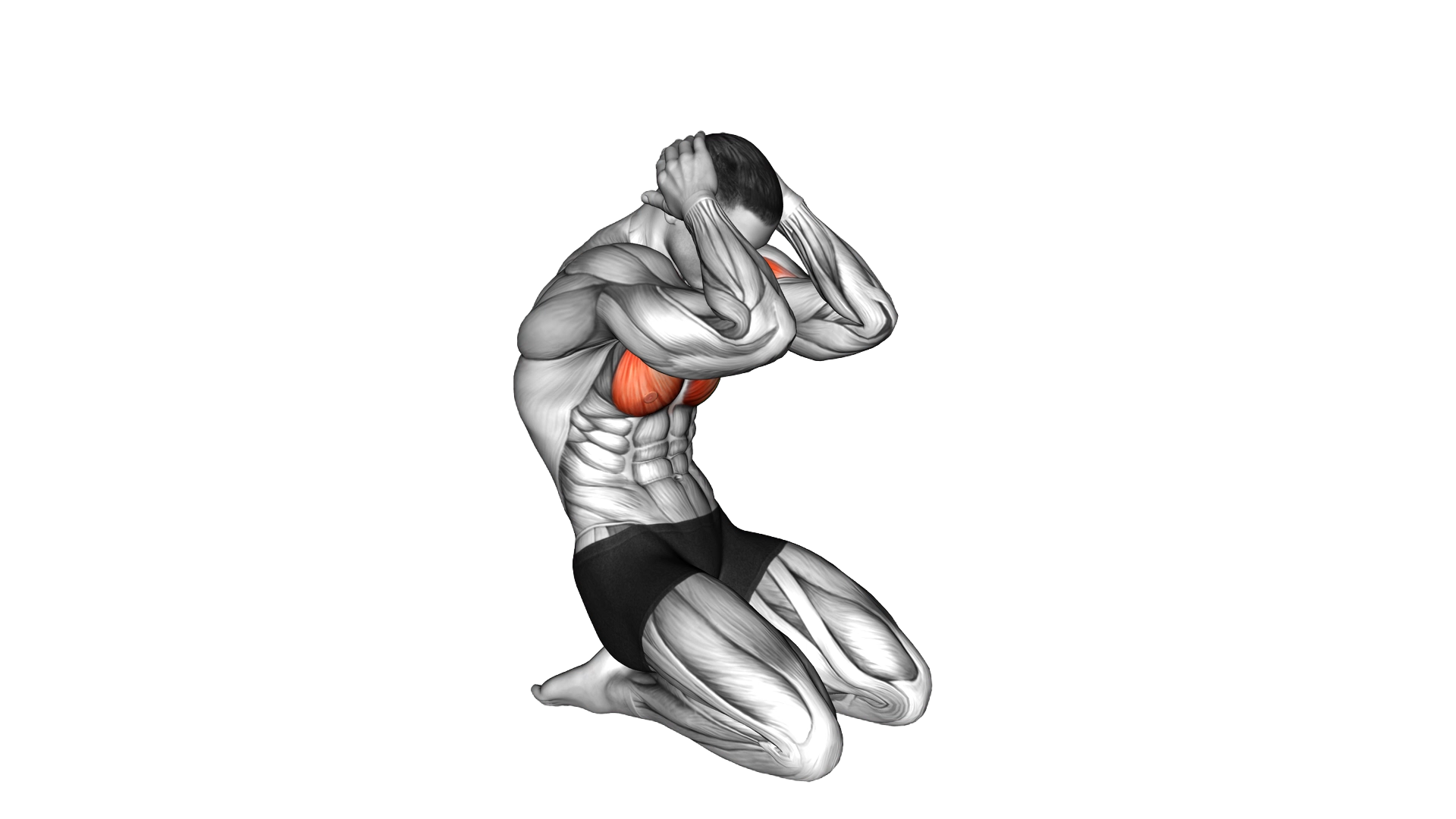 Seated Chest Clam exercise demonstration