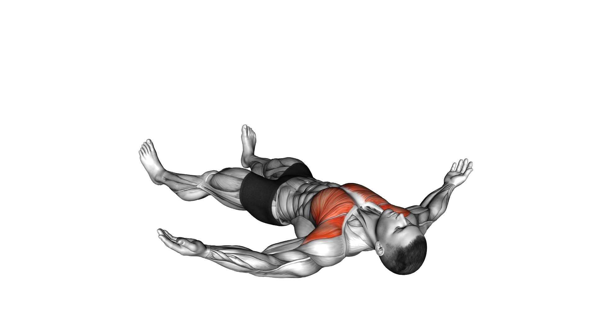 Lying Floor Fly exercise demonstration