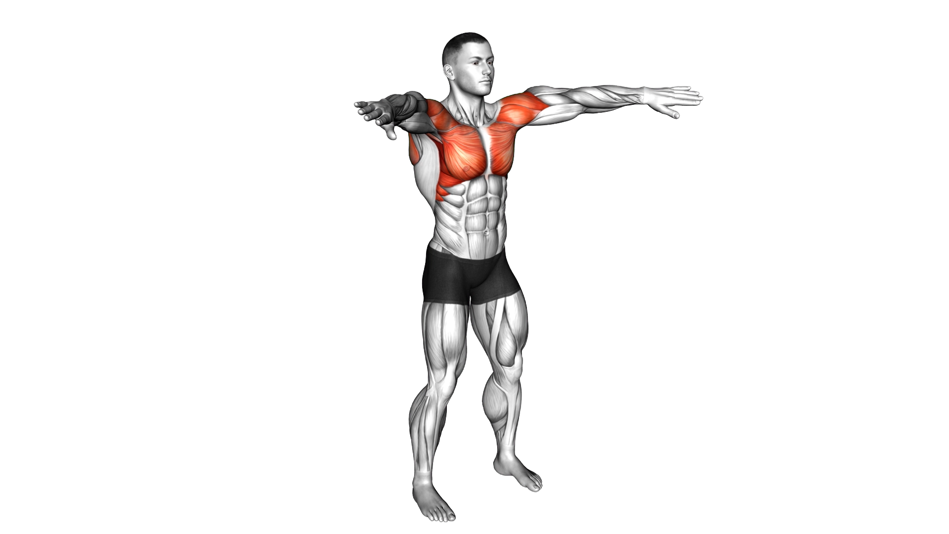 Palm up Palm down Rotation exercise demonstration