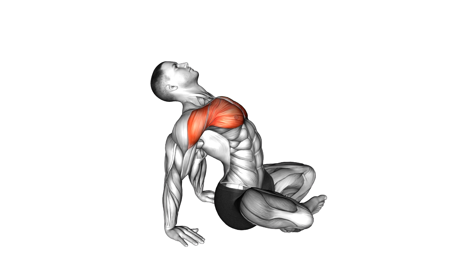 Seated Sky Look exercise demonstration