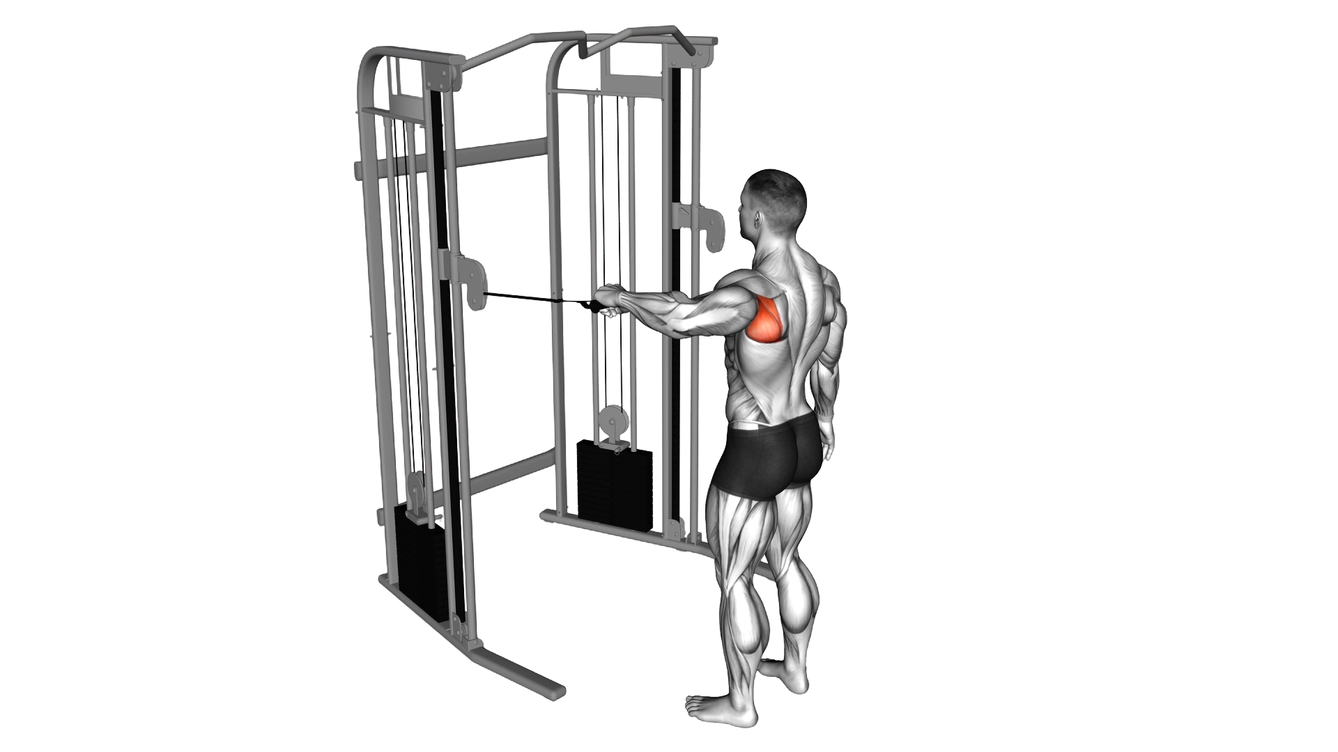 Cable Shoulder 90 degrees External Rotation exercise demonstration