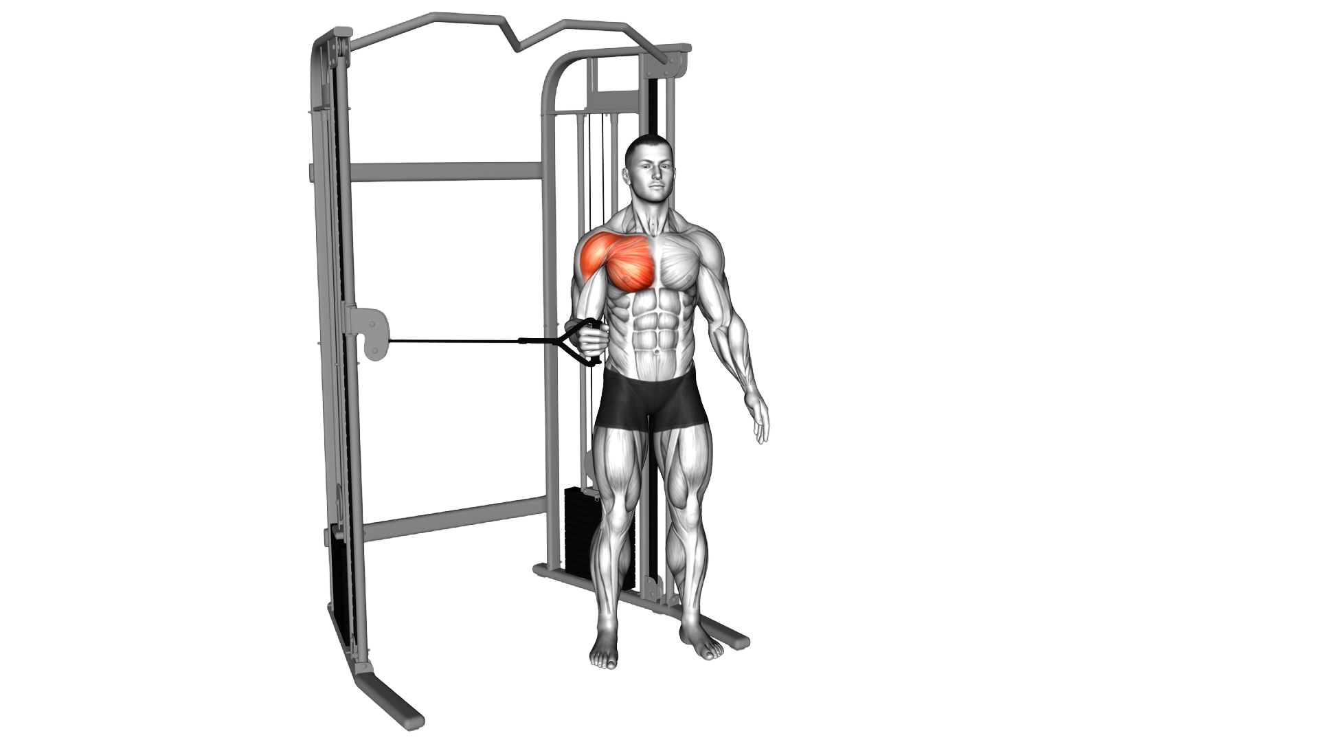 Cable Shoulder Internal Rotation exercise demonstration