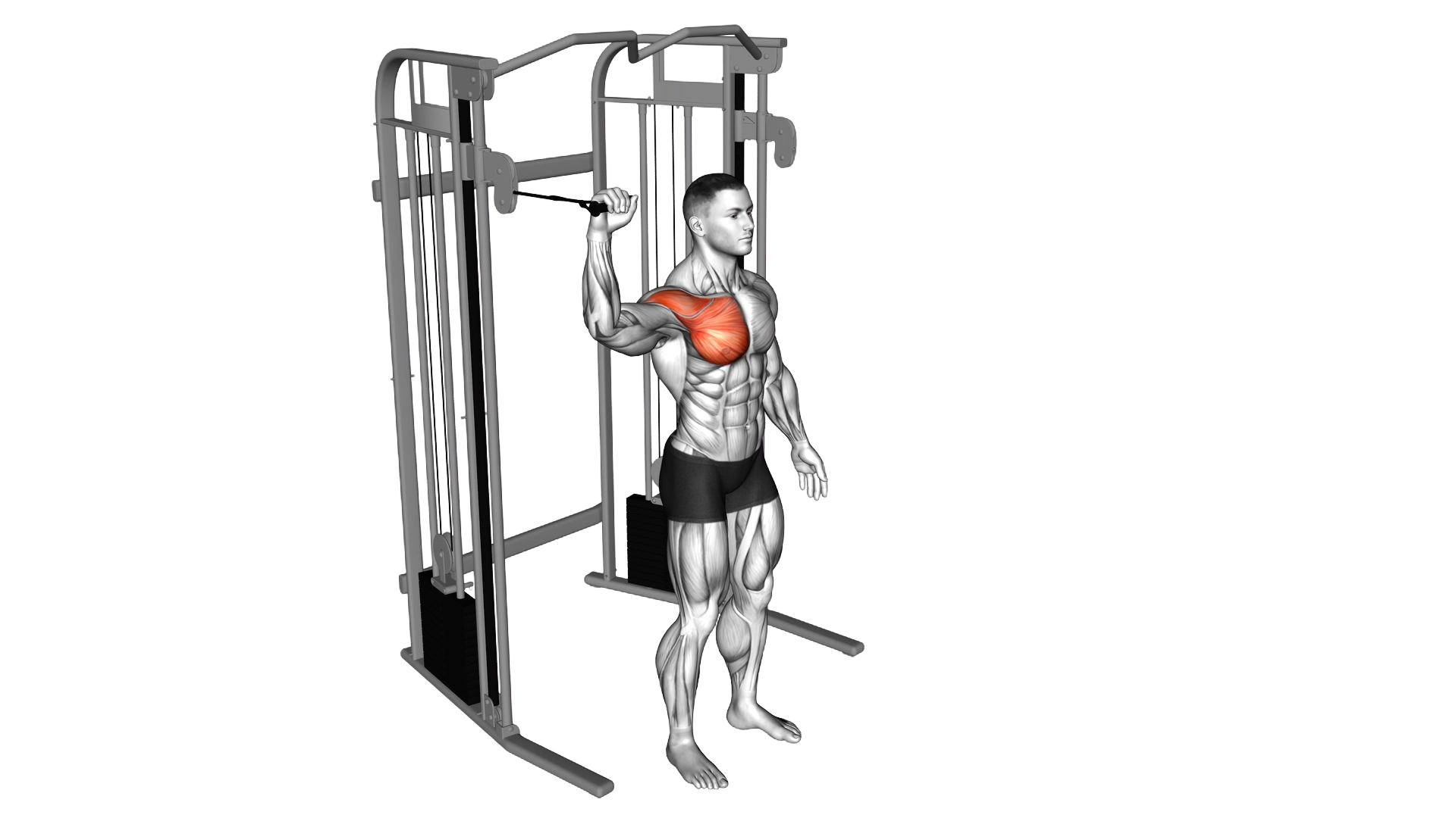 Cable Shoulder 90 degrees Internal Rotation exercise demonstration
