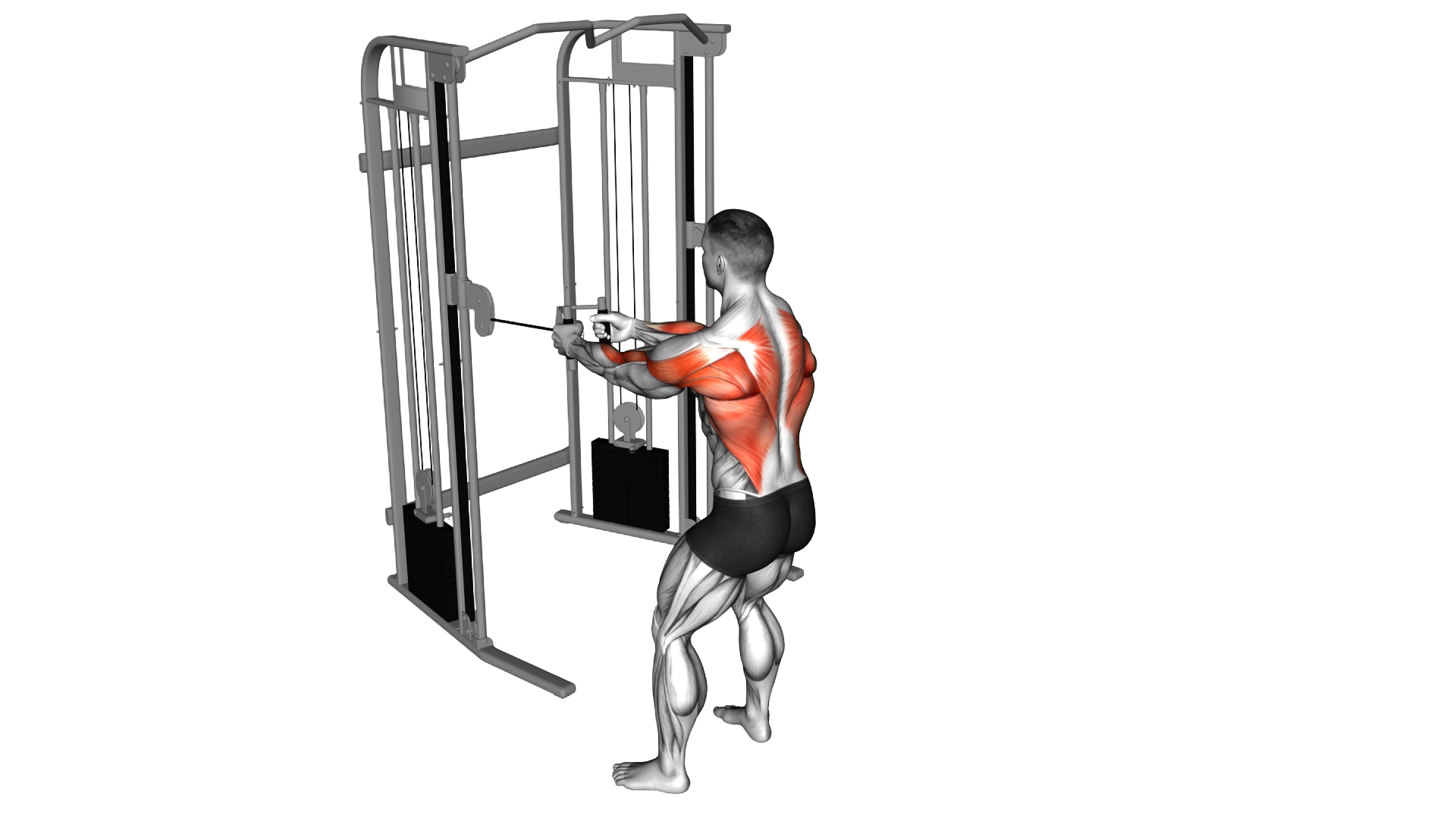 Cable Standing Row exercise demonstration