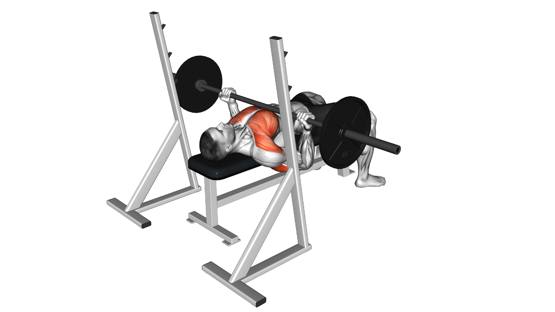 Barbell Reverse Grip Bench Press exercise demonstration