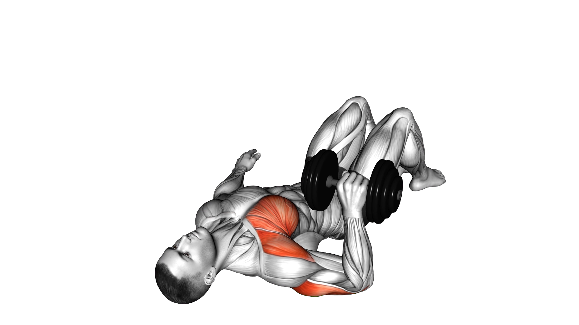 Dumbbell Single Arm Floor Press exercise demonstration