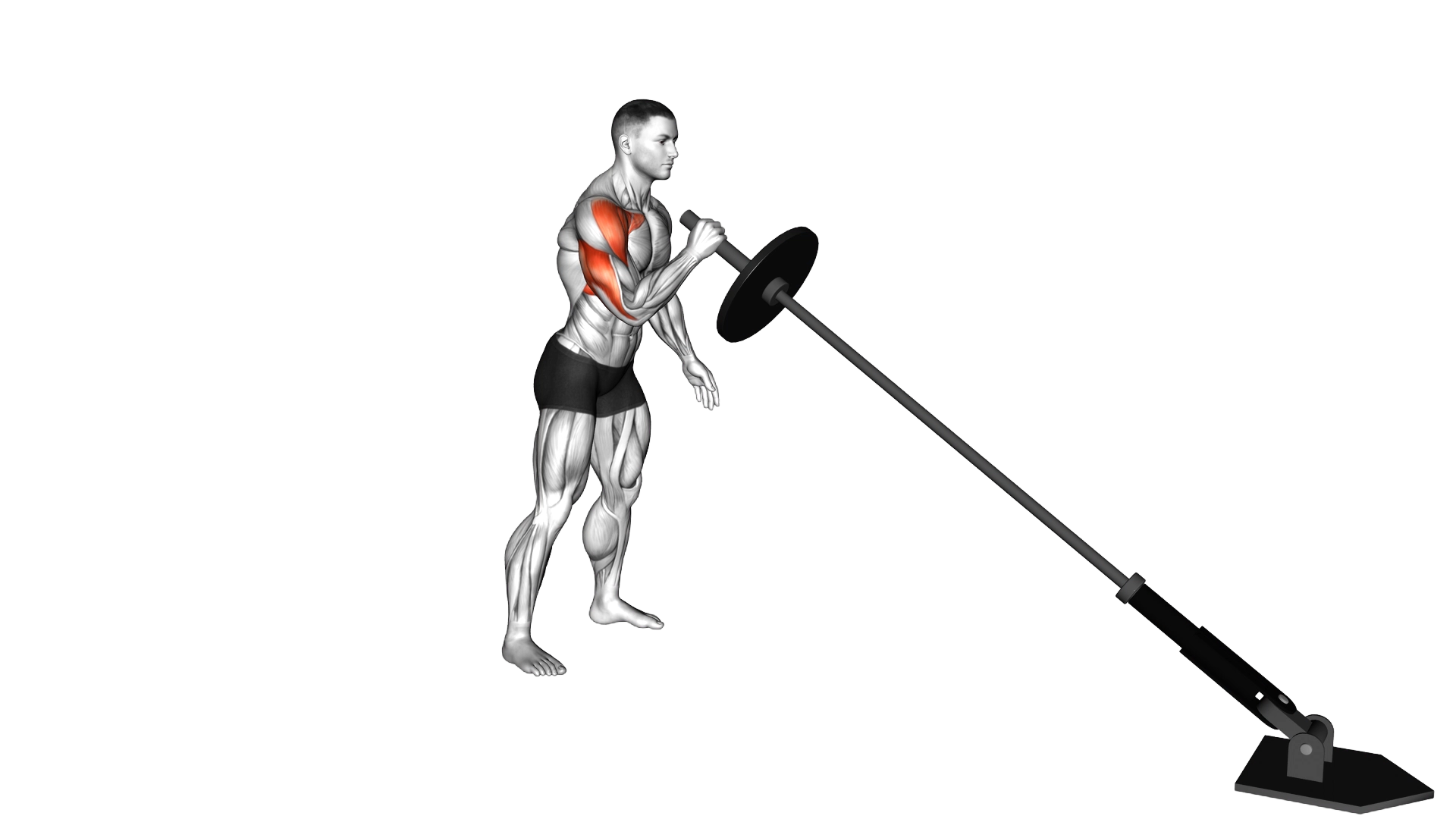 Landmine Single Arm Press exercise demonstration