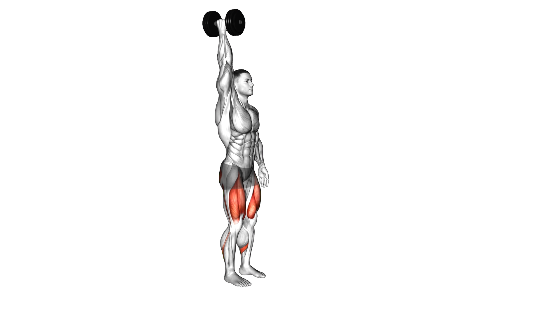 Dumbbell Single Arm Overhead Lunge exercise demonstration
