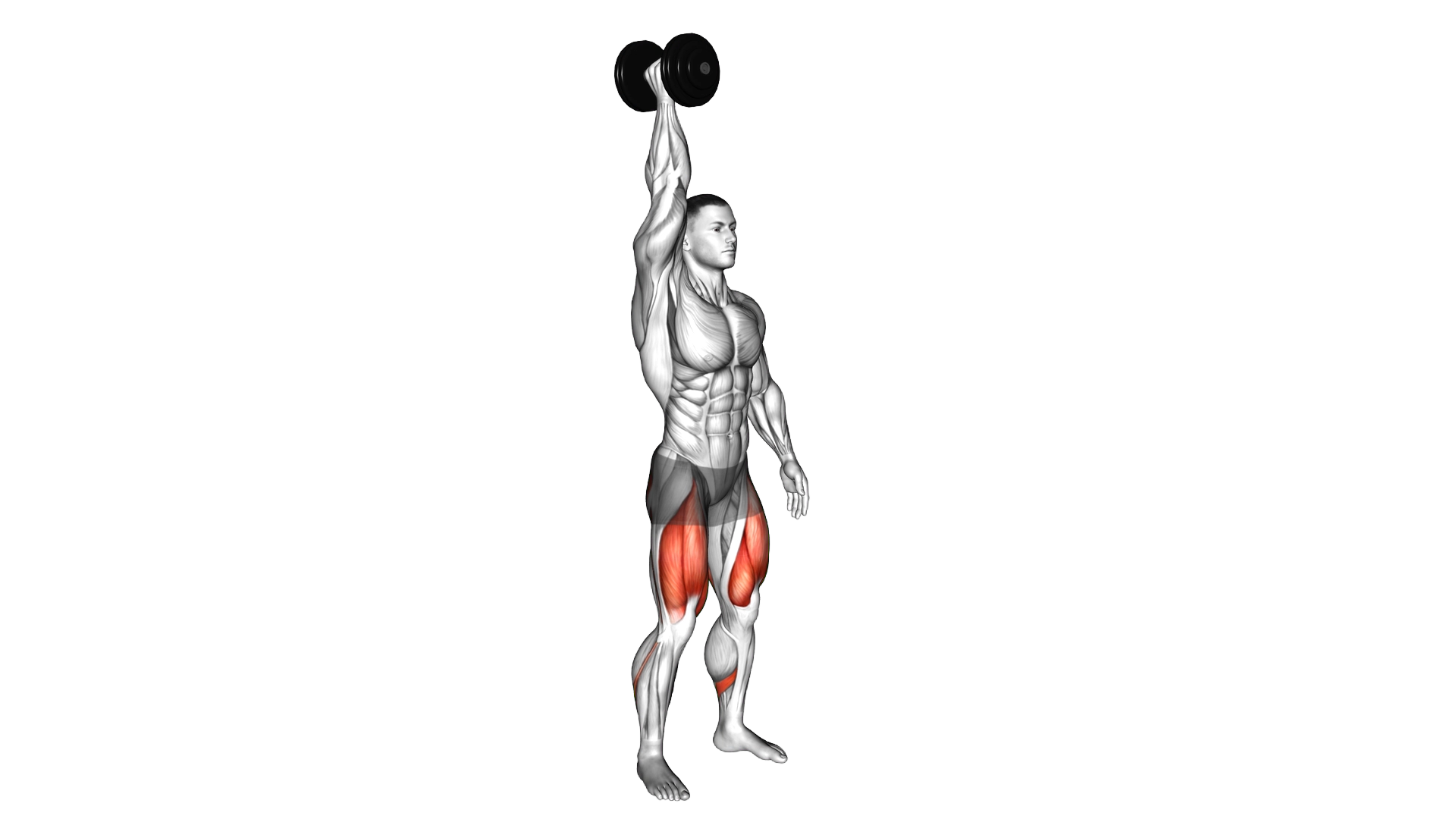 Single Arm Overhead Dumbbell Squat exercise demonstration