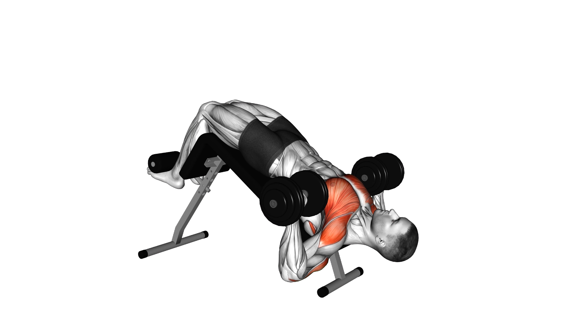 Dumbbell Single Arm Alternate Decline Bench Press exercise demonstration