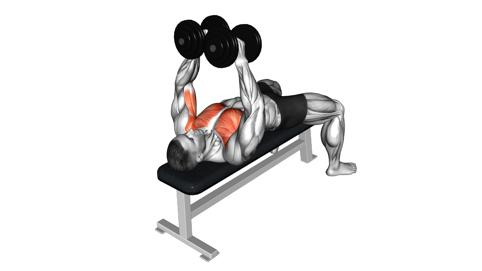 Dumbbell Single Arm Alternate Fly exercise demonstration