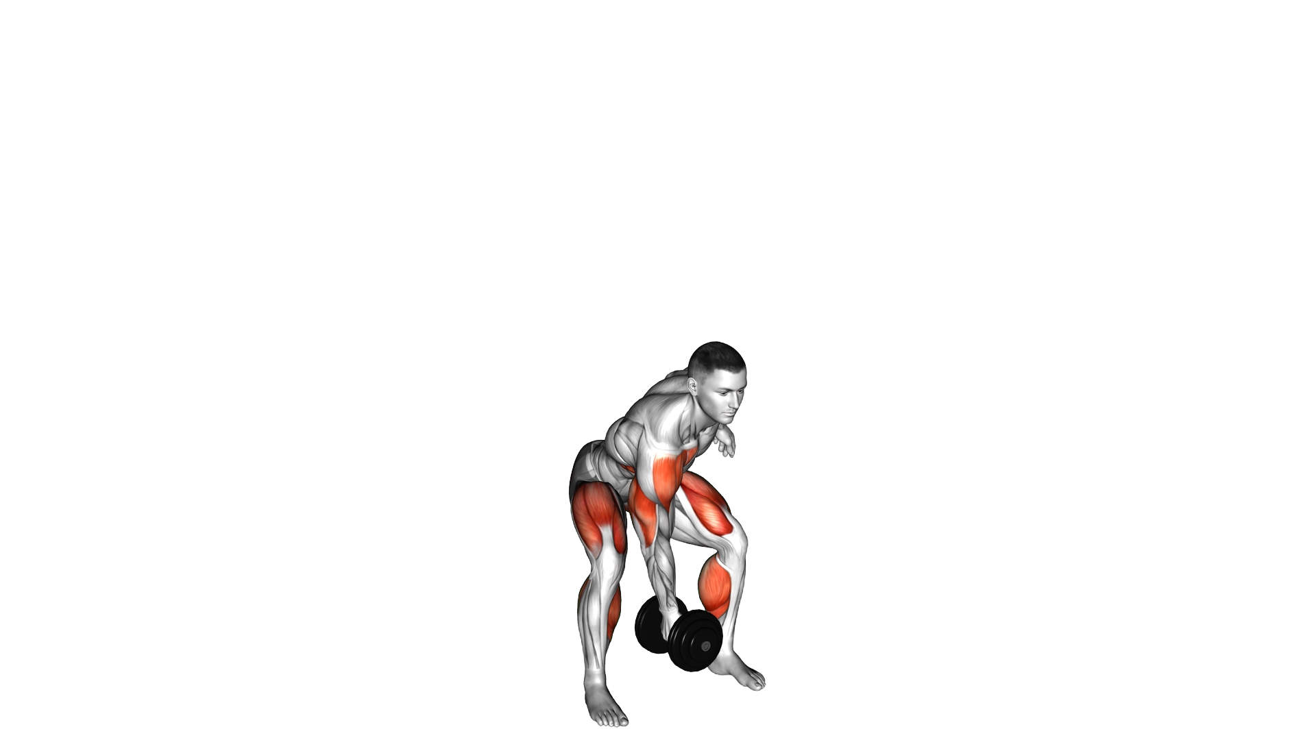 Dumbbell Single Power Clean and Jerk exercise demonstration
