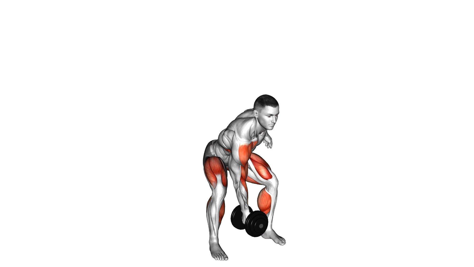 Dumbbell Single Power Clean exercise demonstration