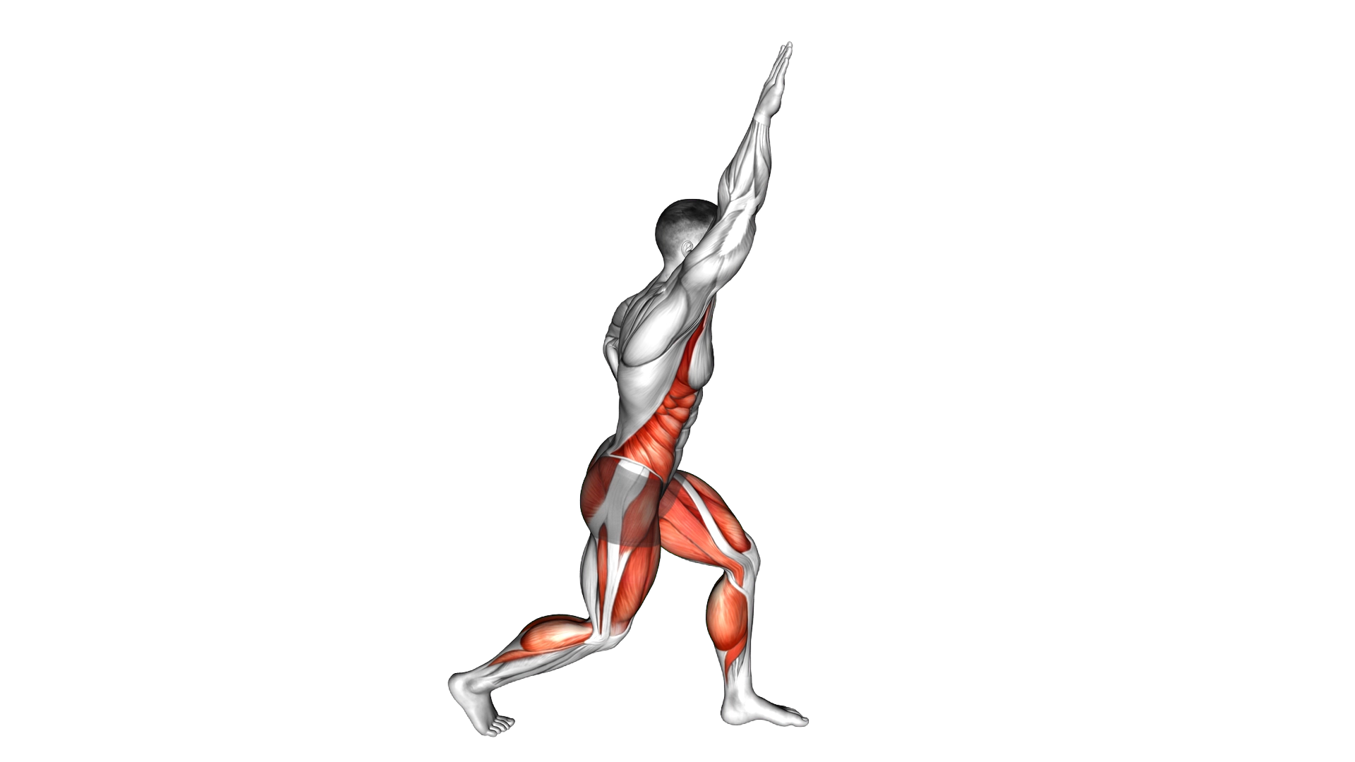 Corner Touch exercise demonstration