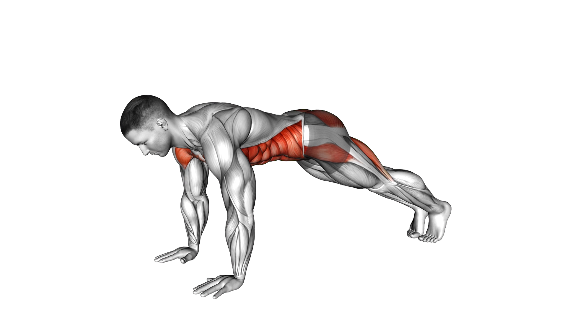 Alternate Single Leg Raise Plank exercise demonstration