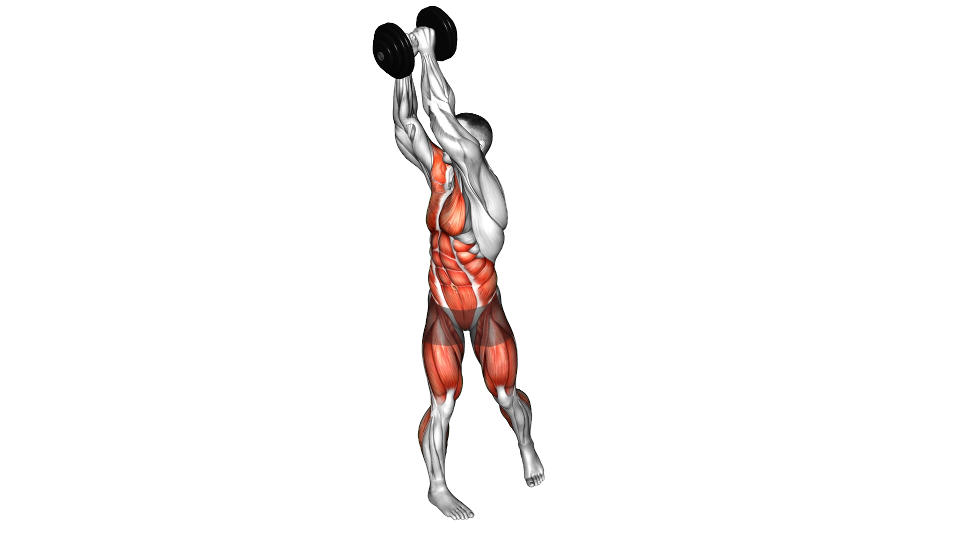 Dumbbell Wood Chop Squat exercise demonstration