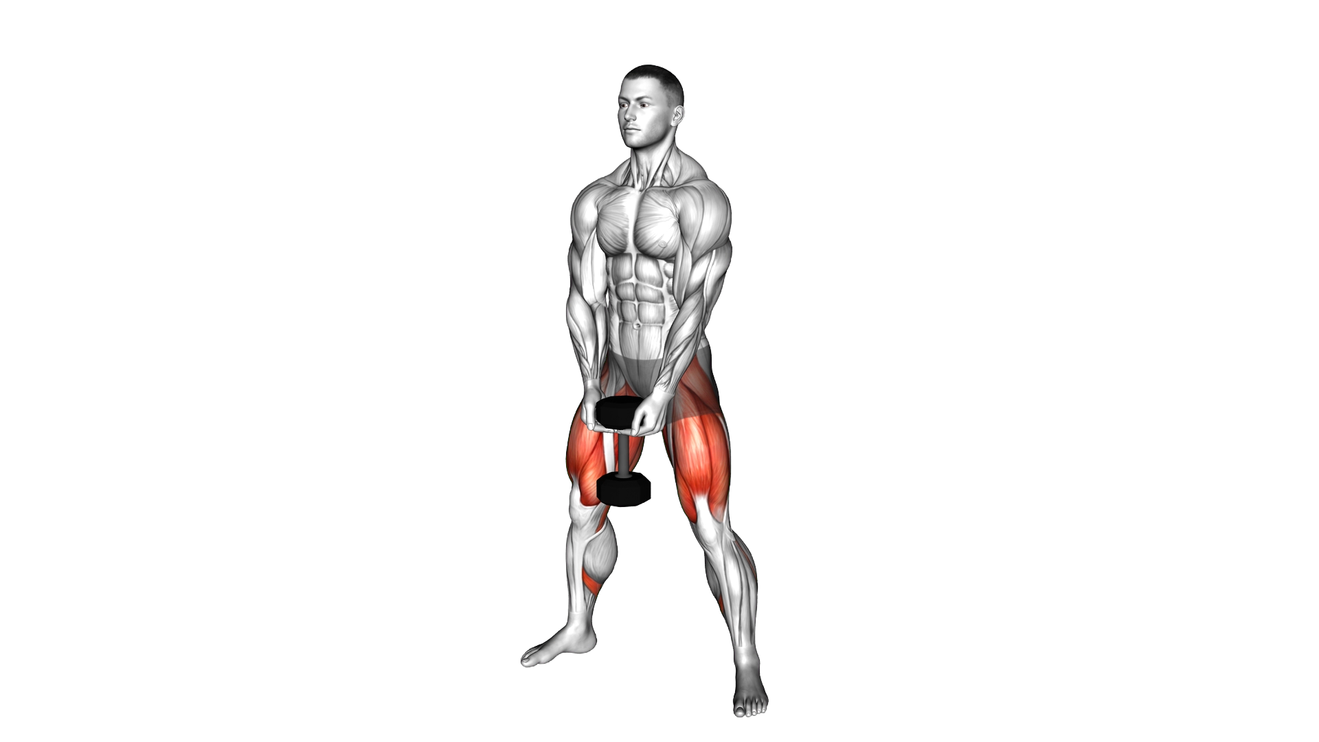 Dumbbell Sumo Squat exercise demonstration