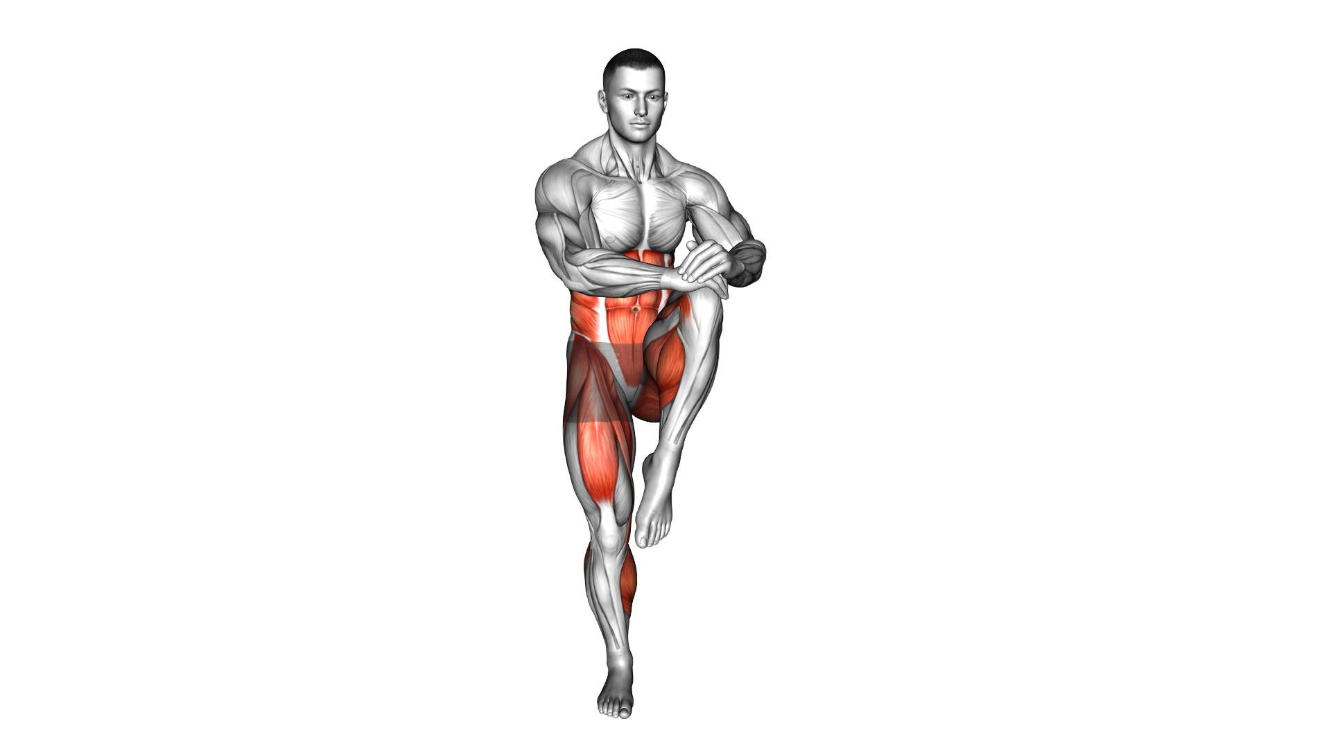 Knee Drive exercise demonstration