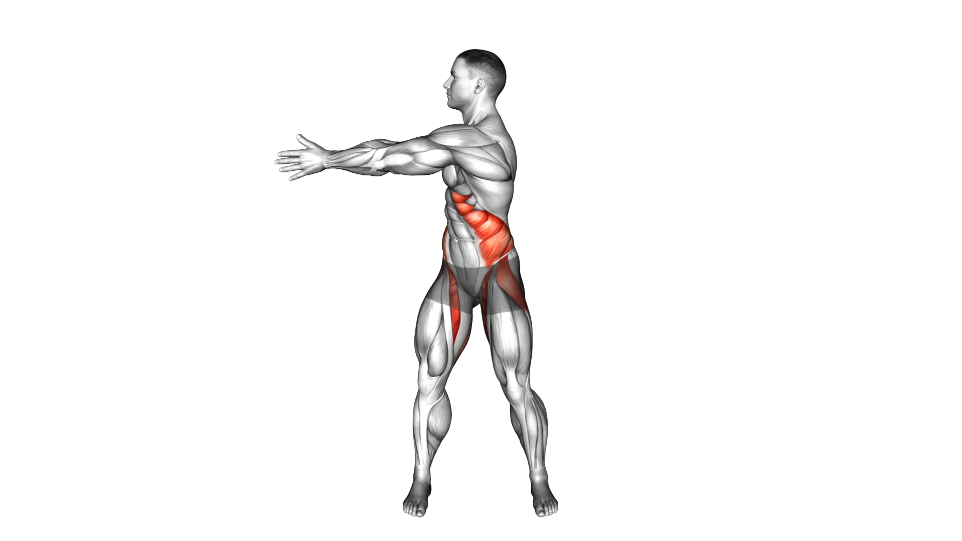 Standing Ab Twist exercise demonstration