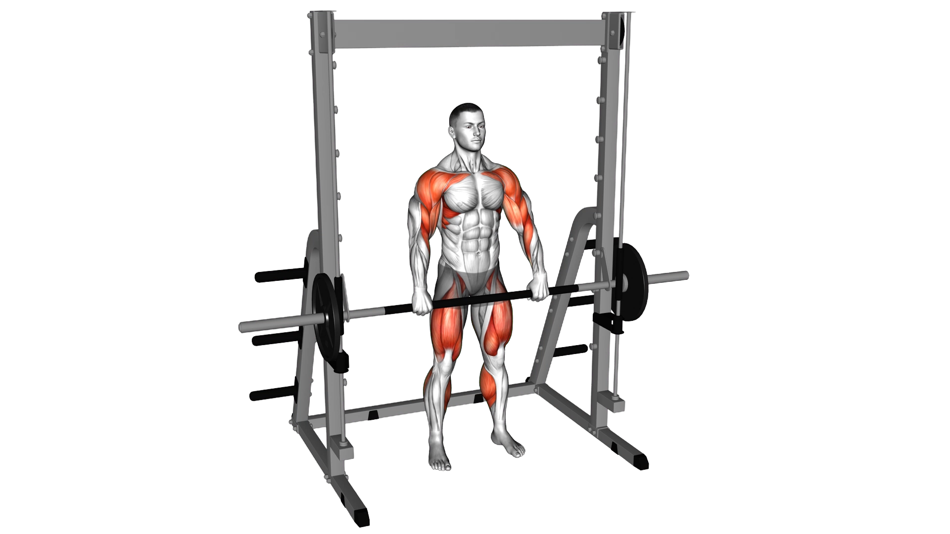 Smith Hang Clean exercise thumbnail