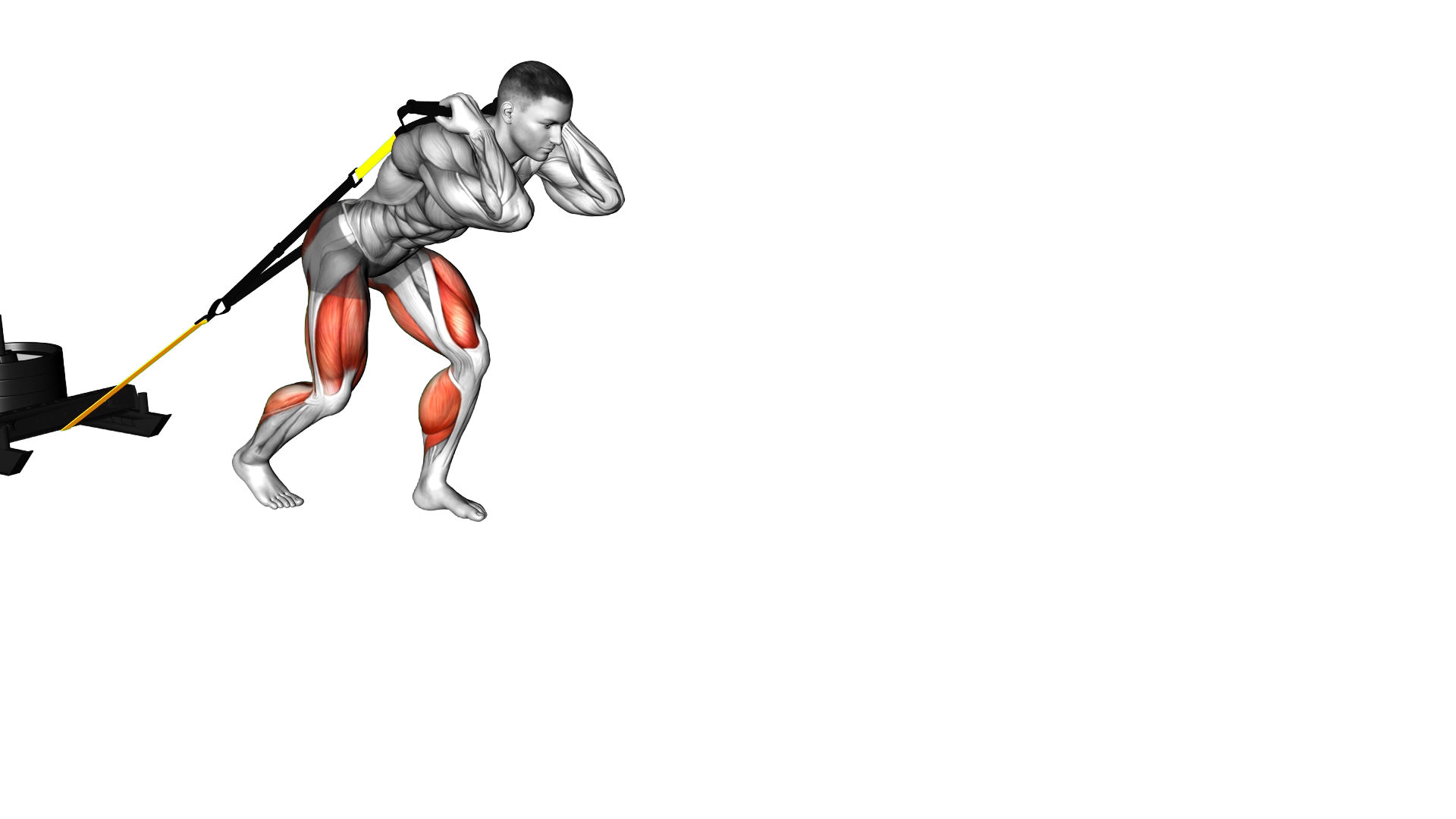 Power Sled Drag exercise demonstration