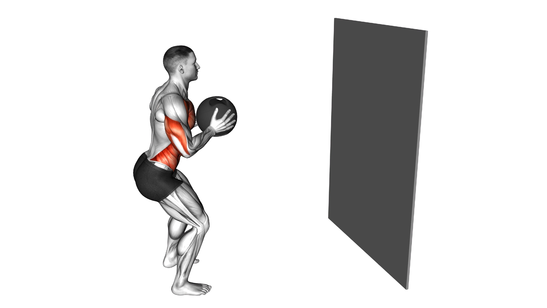 Medicine Ball Chest Pass against Wall exercise thumbnail