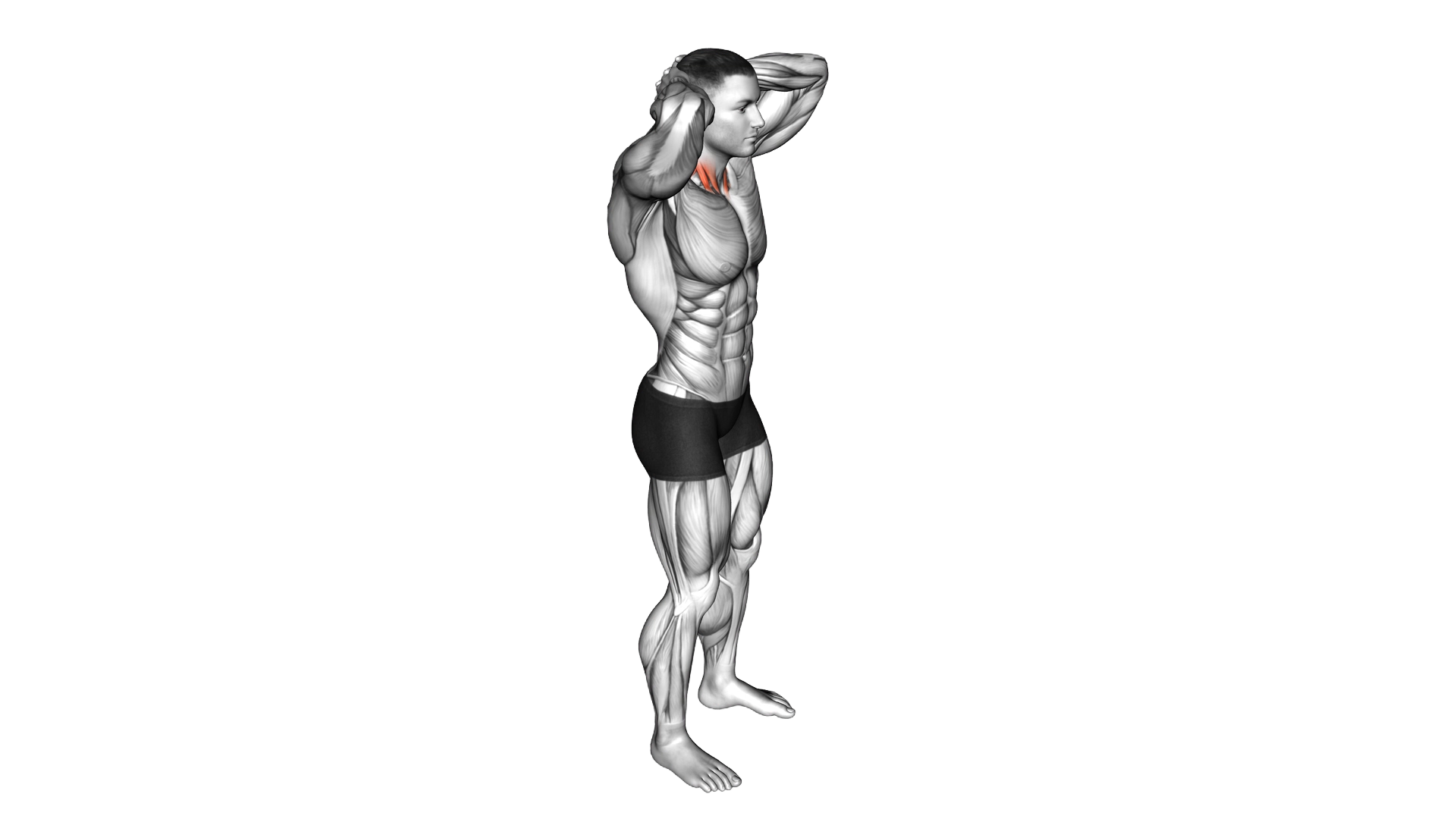Posterior Neck Isometric exercise demonstration