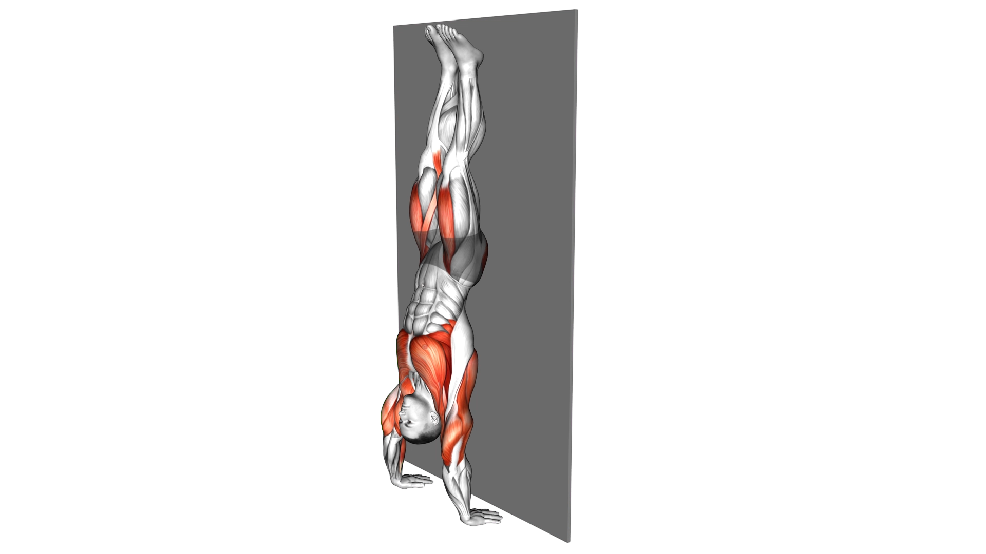 Kipping Handstand Push Up exercise demonstration
