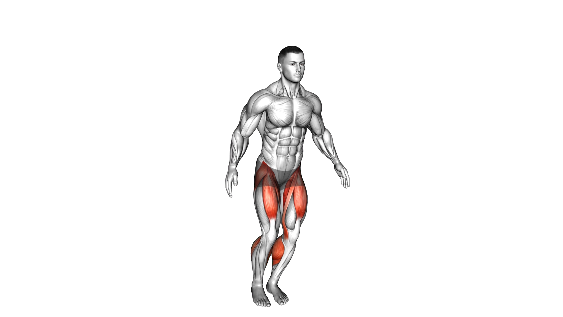 Side to Side Hop exercise demonstration