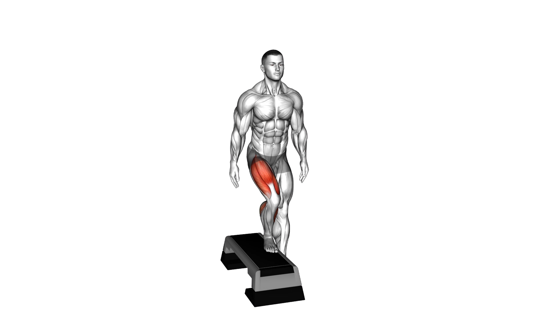 Lateral Step Up exercise demonstration