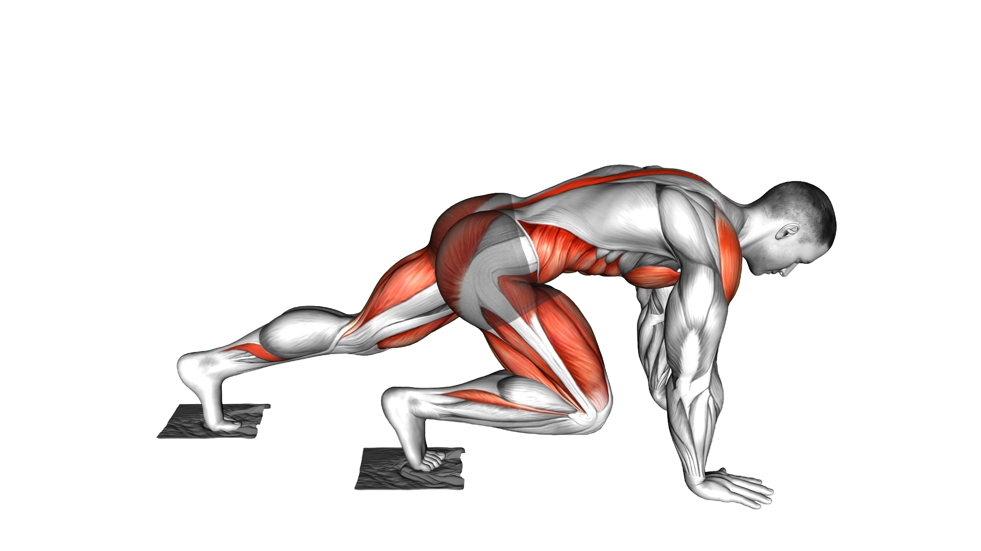 Mountain Climber Slide with Towel exercise demonstration