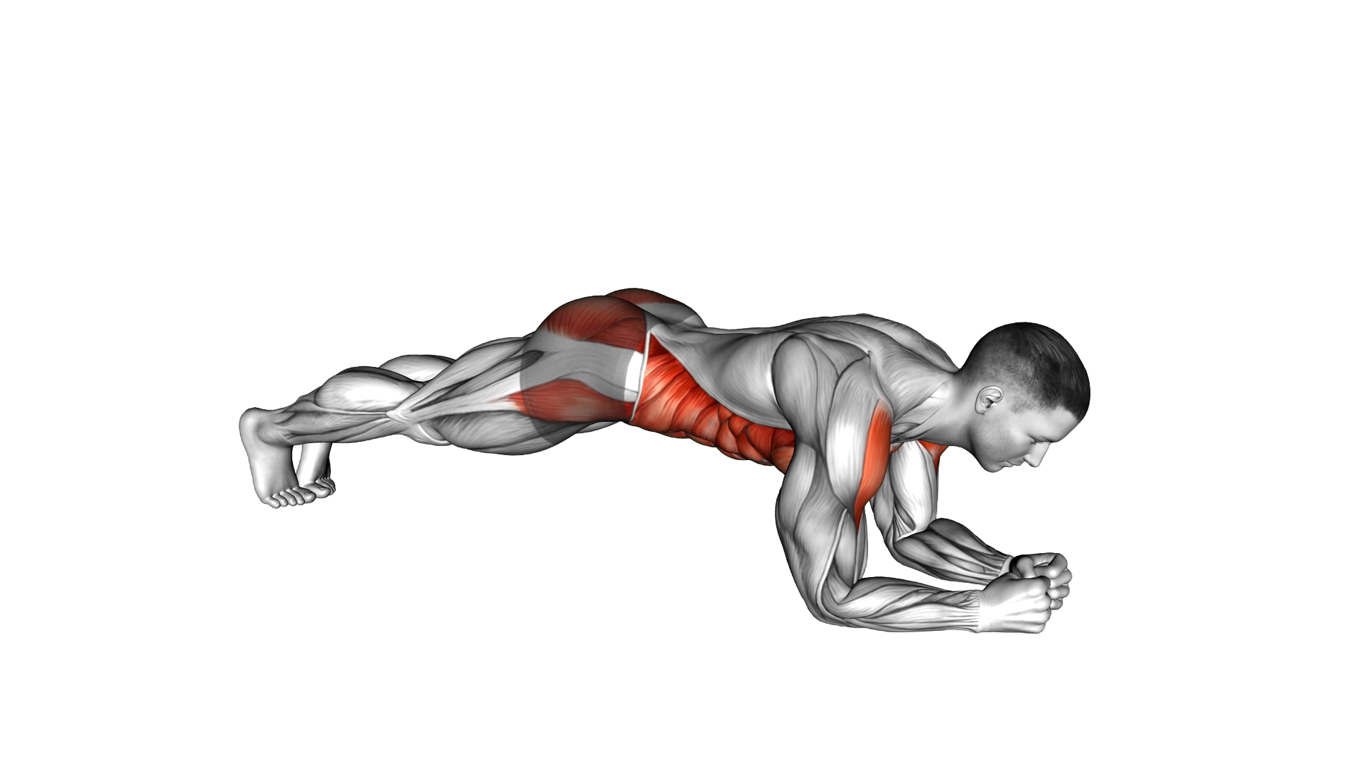 Plank Jack on Elbows exercise demonstration
