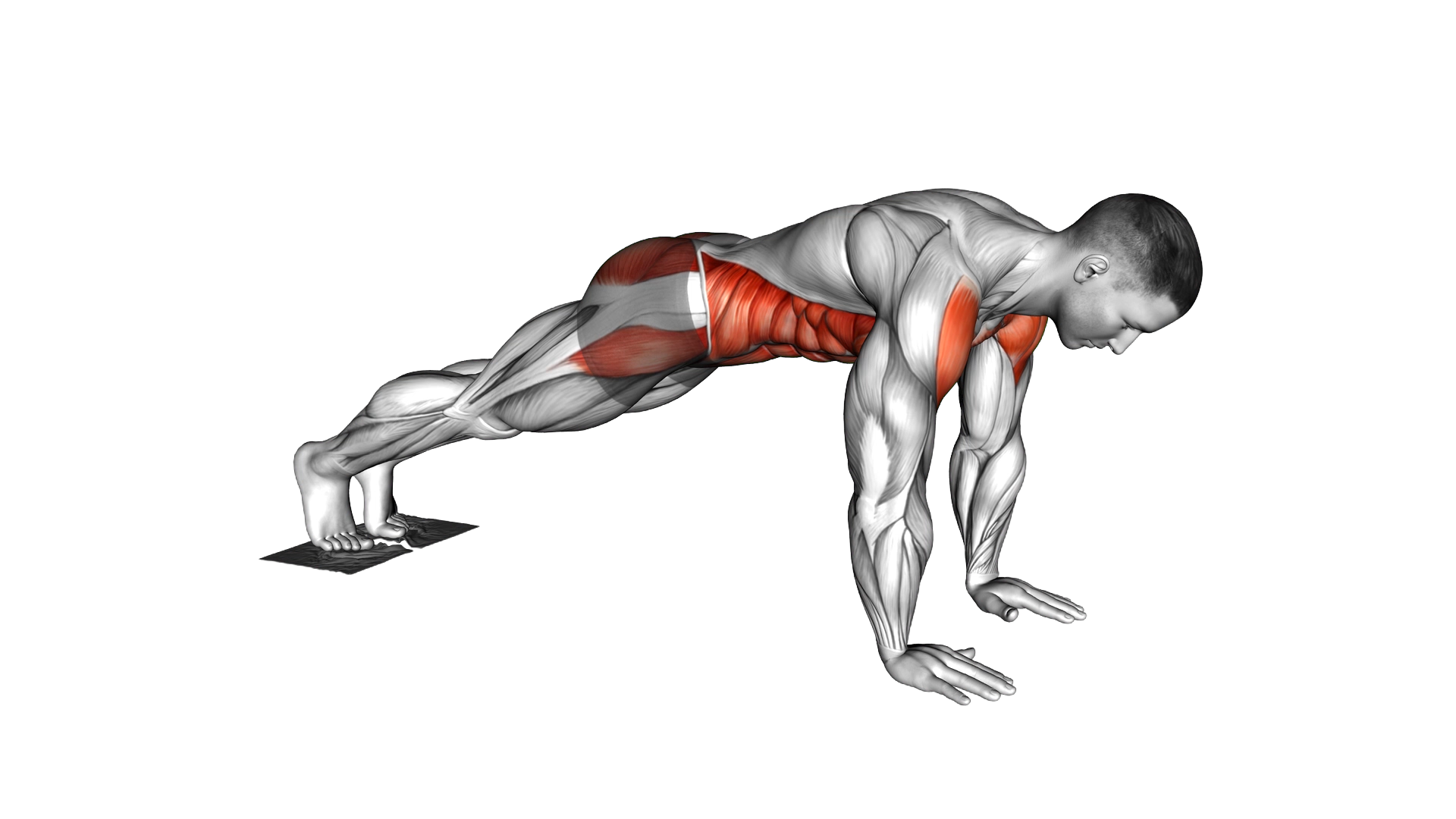 Plank Jack Slide with Towel exercise demonstration