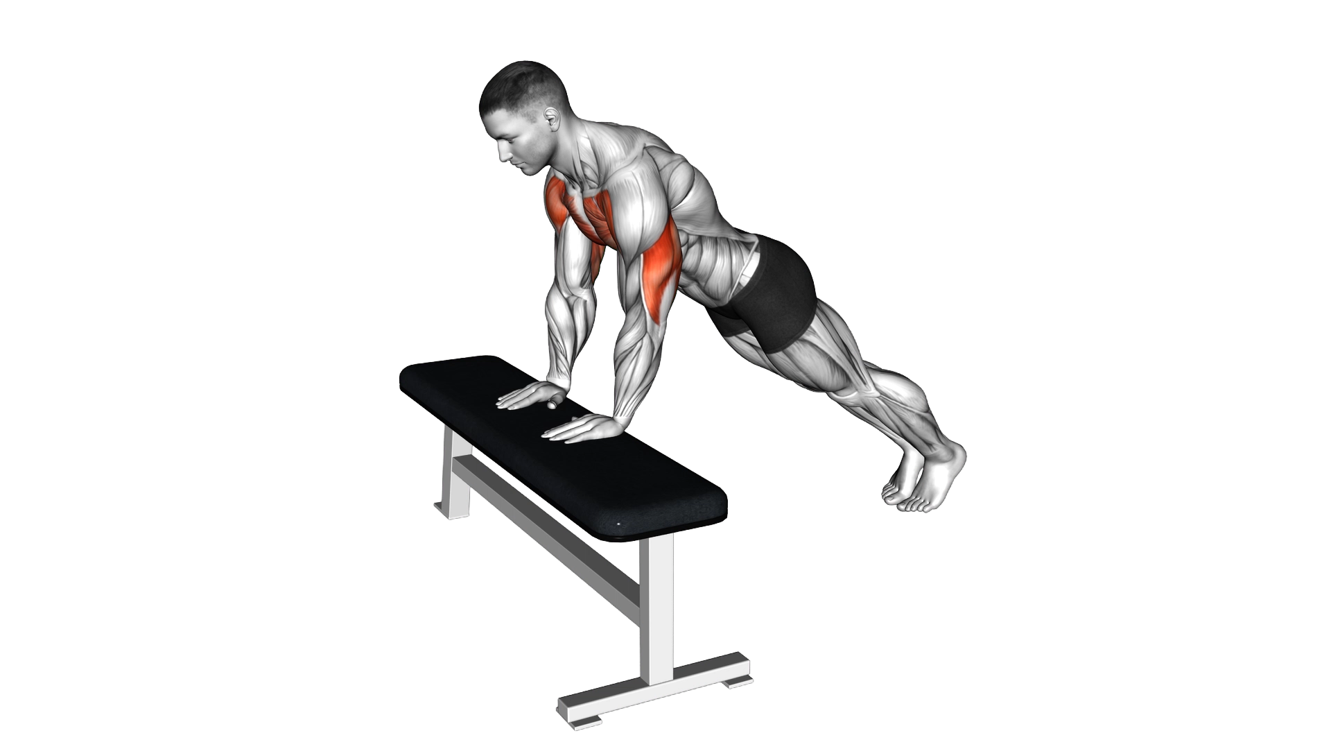Incline Close Grip Push Up exercise demonstration