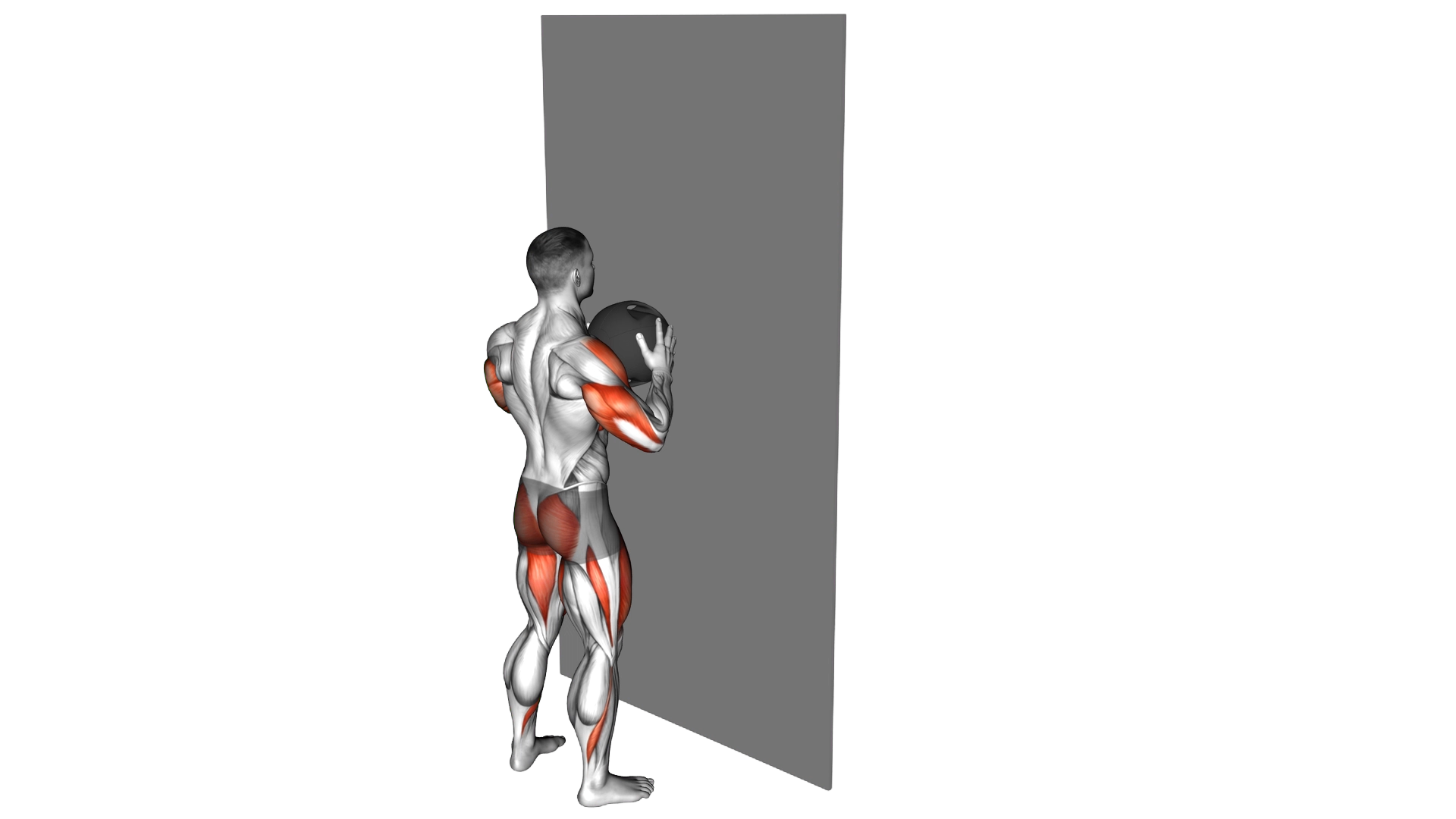Medicine Ball Throw Squat with Wall exercise thumbnail