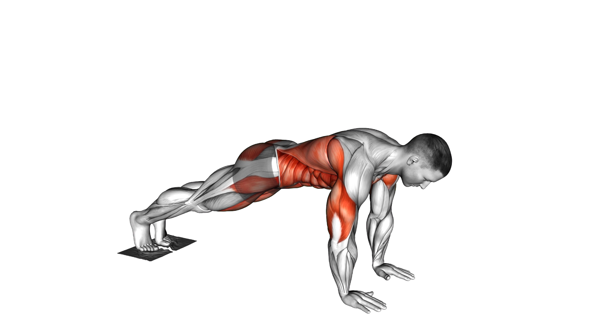 Plank Pike Slide with Towel exercise demonstration