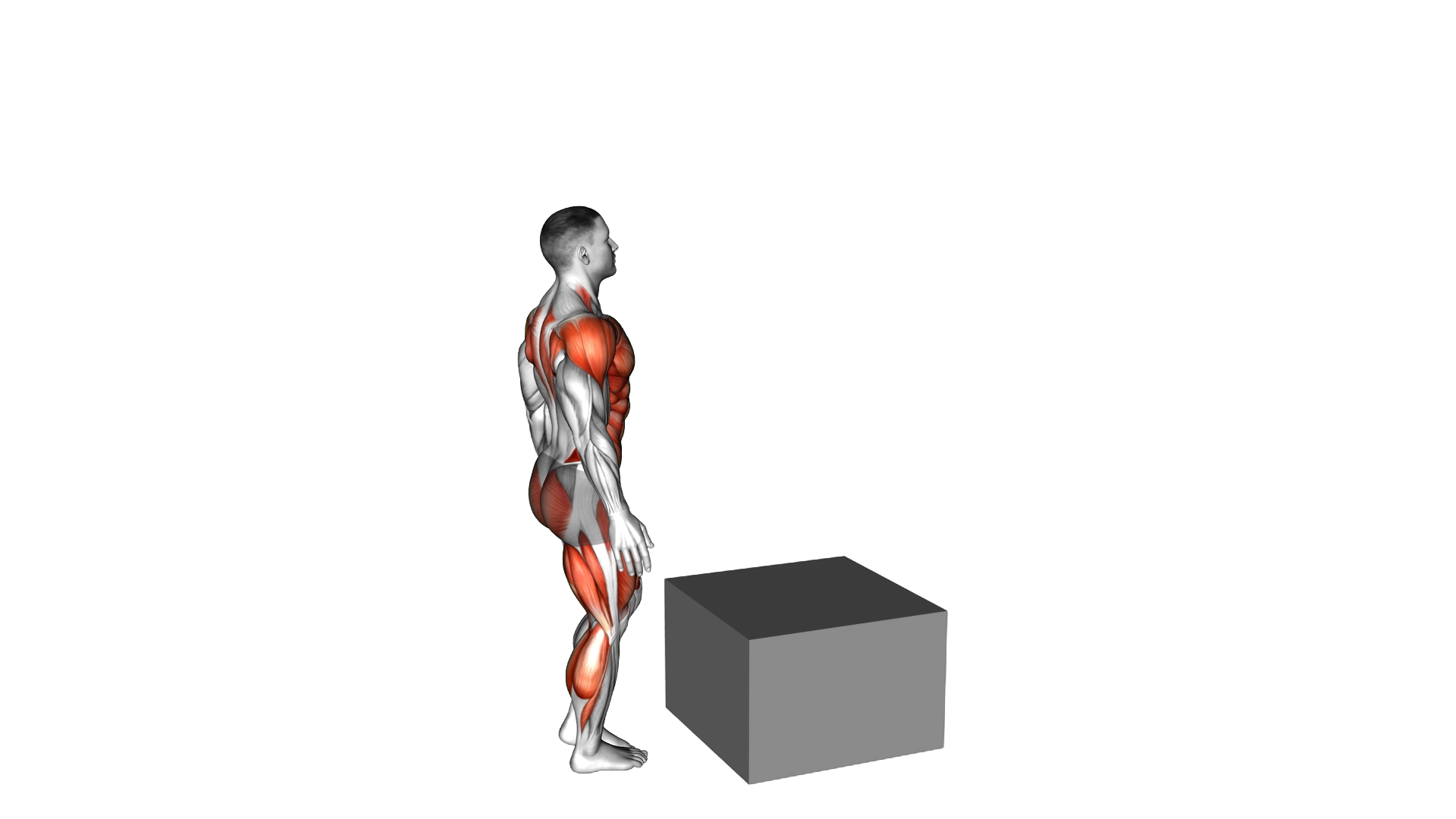 Single Leg Box Jump exercise thumbnail